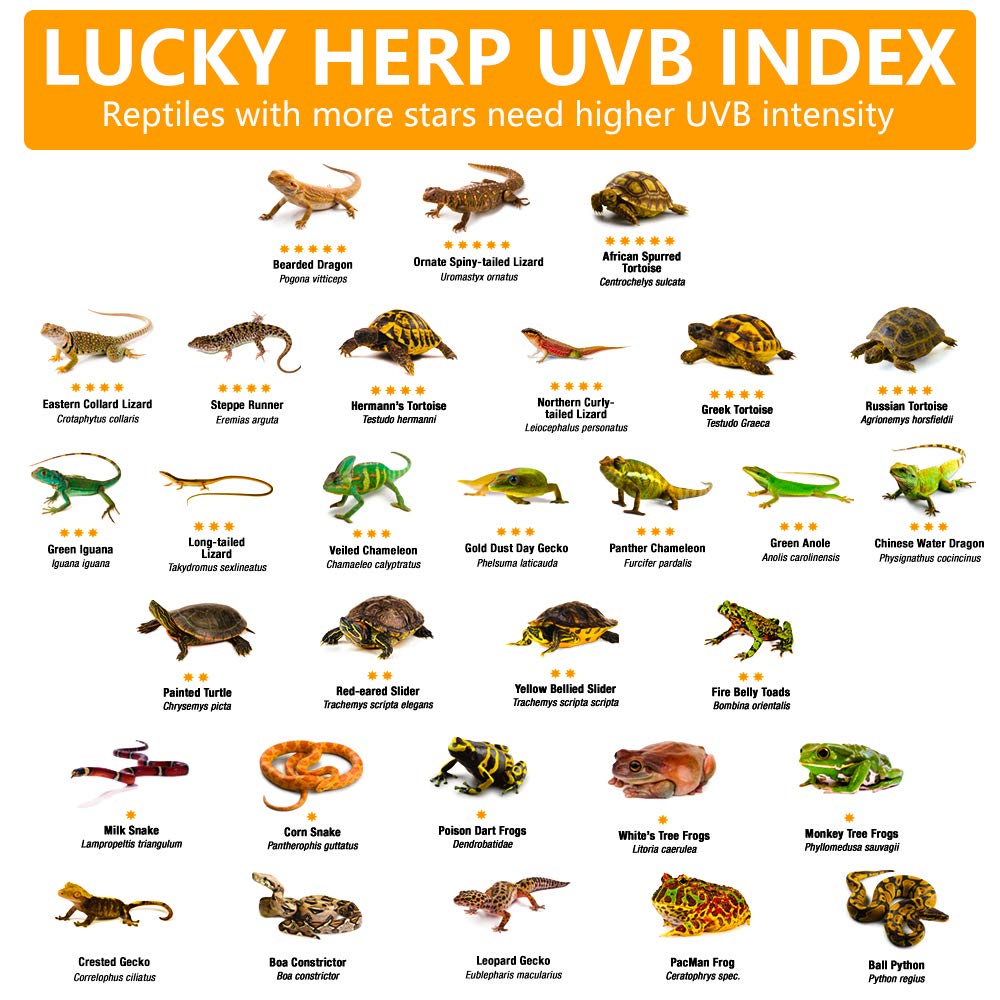 Lucky Herp 24Inch 18W T8 Uvb 10.0 Reptile Light, Uva Uvb Bulb, Fluorescent Lamp For Reptiles Amphibian