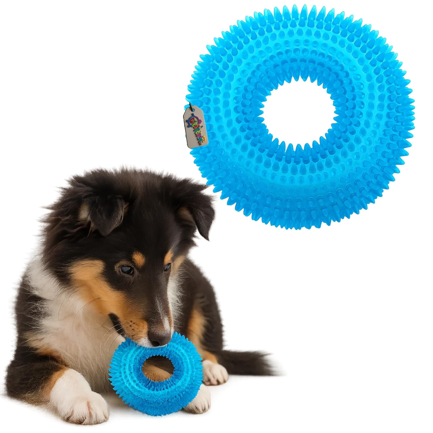 Western Era Spiked Ring Dog Squeaky Toy | Durable For Chewing, Tug & Fetch | Textured Teething Ring For Puppies & Adult Dogs | I