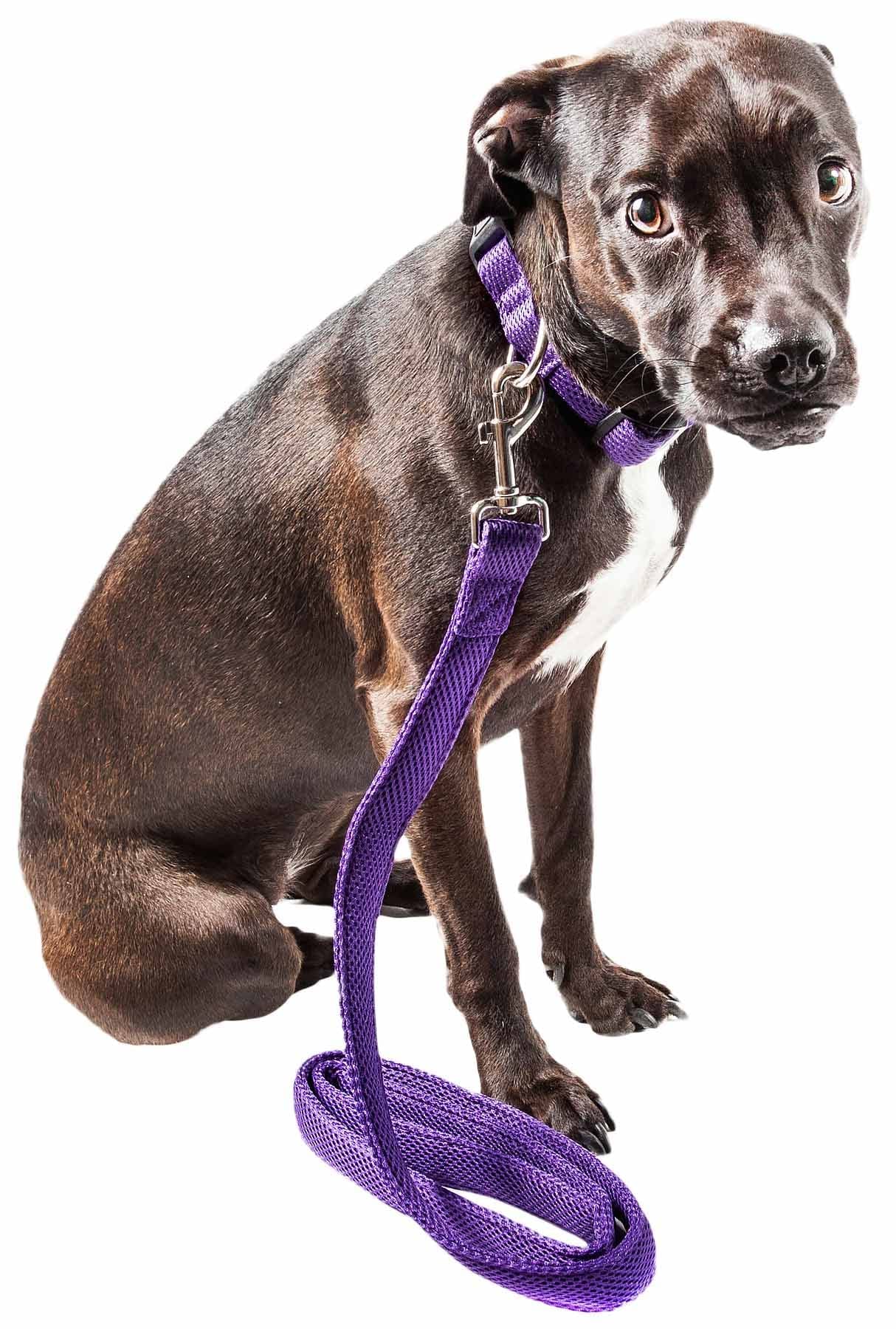 Pet Life 'Aero Mesh' 2-In-1 Dual Sided Comfortable And Breathable Adjustable Mesh Dog Leash-Collar(D0102H70H4V.)