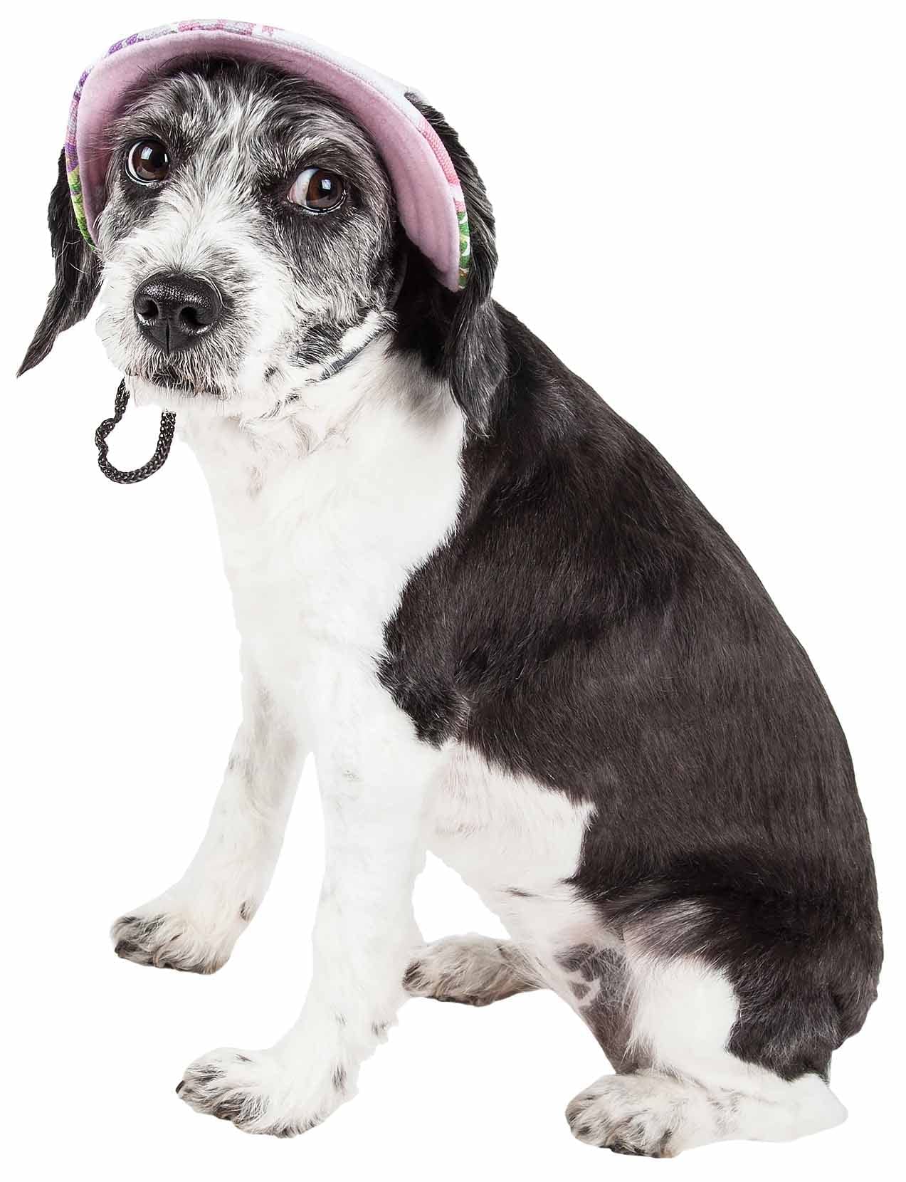 Pet Life A Botanic Bark Floral Patterned Dog Hat With Uv Coverage Protection - Provides More Shade Than A Dog Banadana - Feature