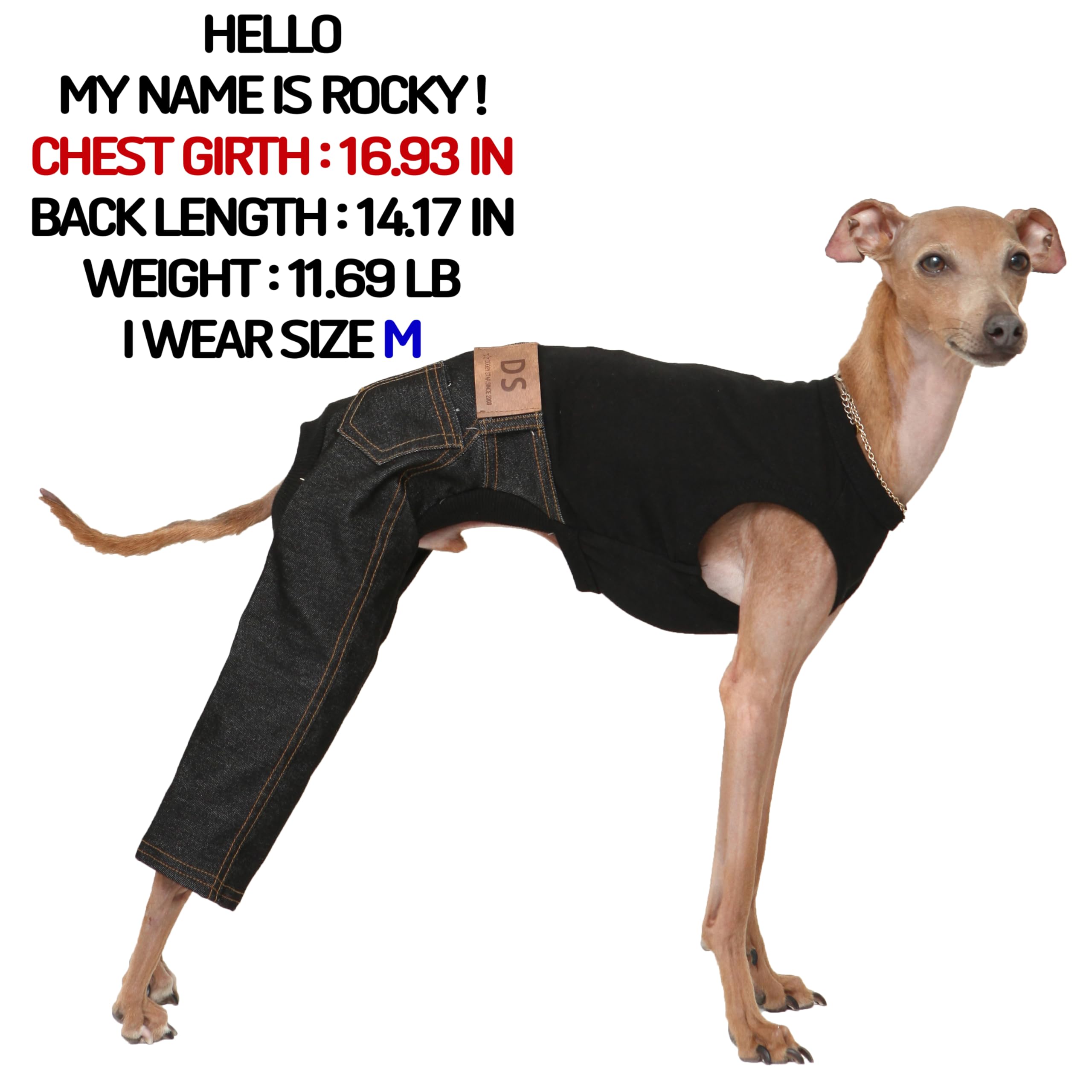 D Doggy Star Italian Greyhound Clothes Sleeveless Jeans Onesie Outfit Whippet For Dog Coat (S,Black Jean)