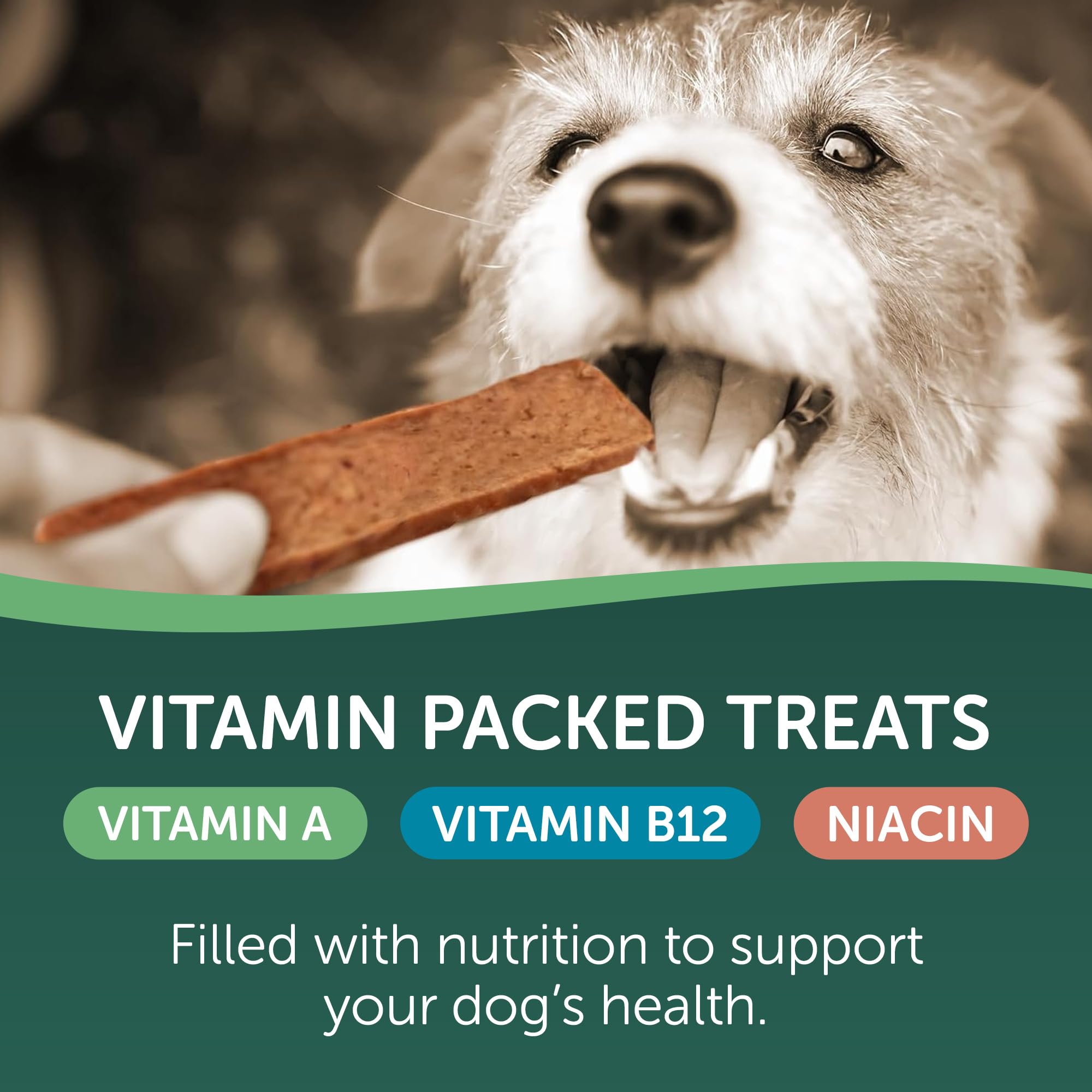 HEALTHFULS Salmon Fillet Dog Treats, 3.5oz - Natural Salmon Flavor, Model 8355