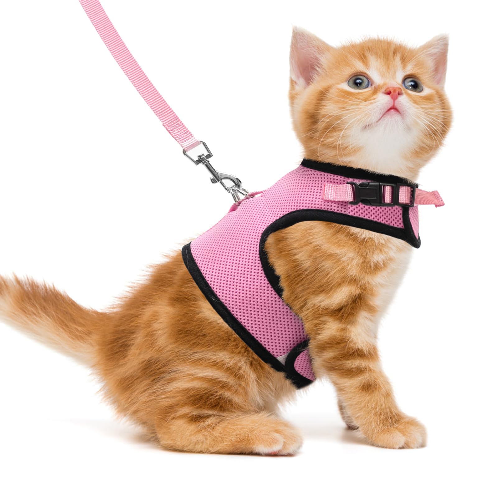 Pupteck Soft Mesh Cat Vest Harness And Leash Set Puppy Padded Pet Harnesses Escape Proof For Cats Small Dogs, Pink Medium
