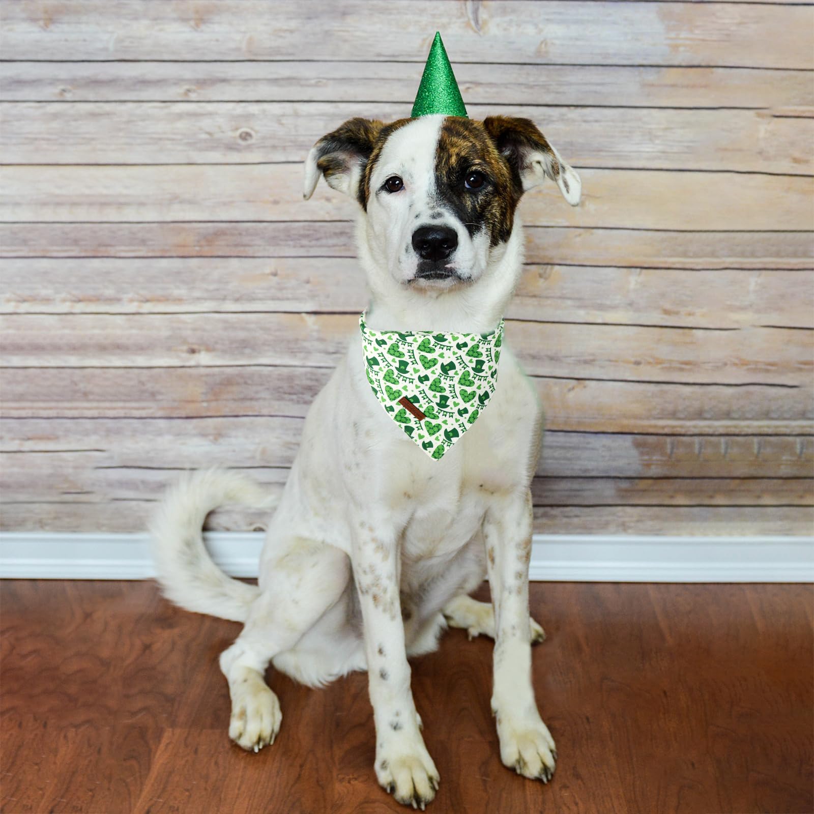 Unique Style Paws Dog St. Pat Bandanas 2Pcs Washable Cotton Triangle Green Clover Magic Hat Dog Scarfs For Small Medium Large Do