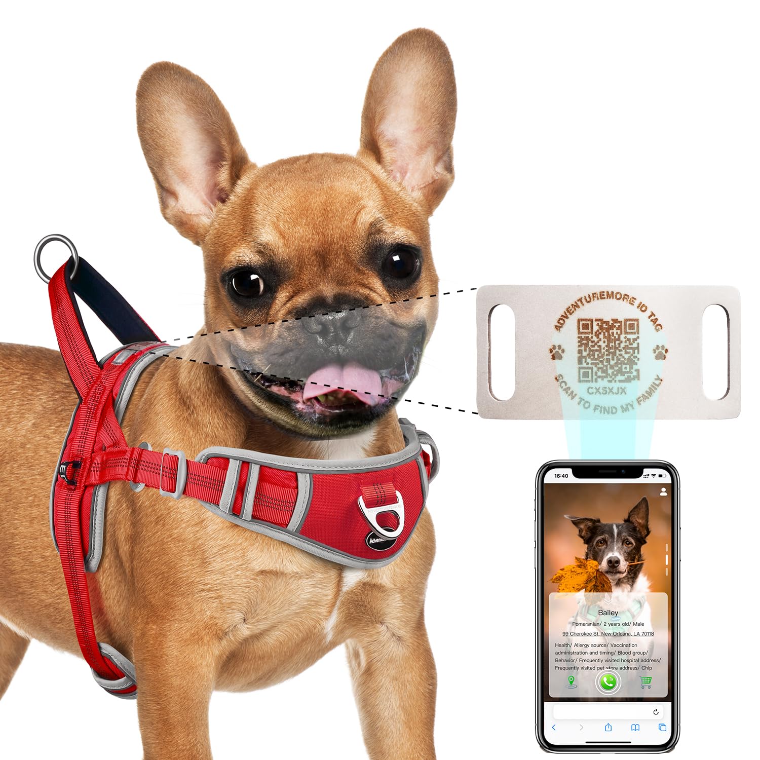 Adventuremore Small Dog No Pull Harness With Qr Code Tag, Adjustable Reflective Vest, Front Clip Handle For Training Walking - R