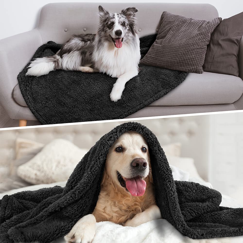 Petami Fluffy Waterproof Dog Blanket For Bed Large Dogs, Soft Warm Pet Sherpa Throw Pee Proof Couch Cover, Reversible Cat Blanket Sofa Crate Kennel Protector, Washable Mat (Black, 60X80)