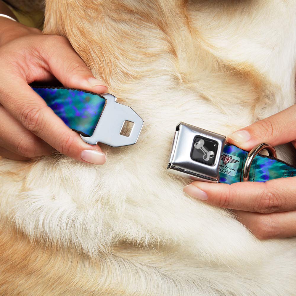 Buckle-Down Dog Collar Seatbelt Buckle Tie Dye Green Blue Purple 15 To 26 Inches 1.0 Inch Wide (Dc-W32088-L)