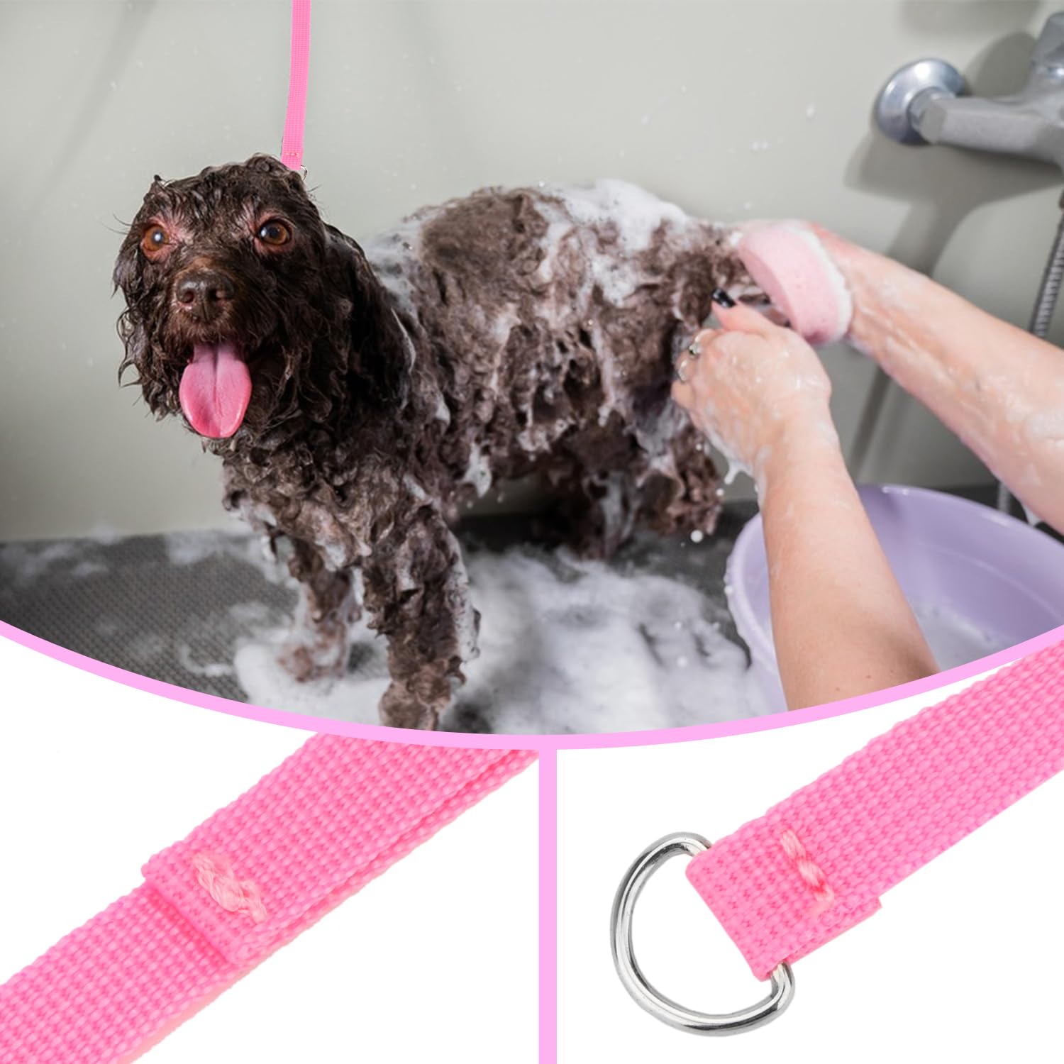 Hypeety Slip Leads for Dogs - 6 Pcs Bulk Pack, Nylon, One Size, Ideal for Grooming and Kennel Use