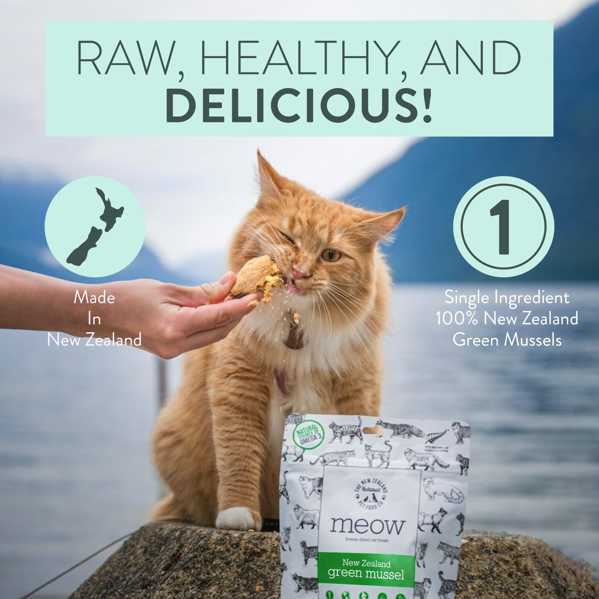 The New Zealand Natural Pet Food Co. Meow Freeze Dried Cat Treats - New Zealand Green Mussel, High Protein, Healthy Cat Snacks a