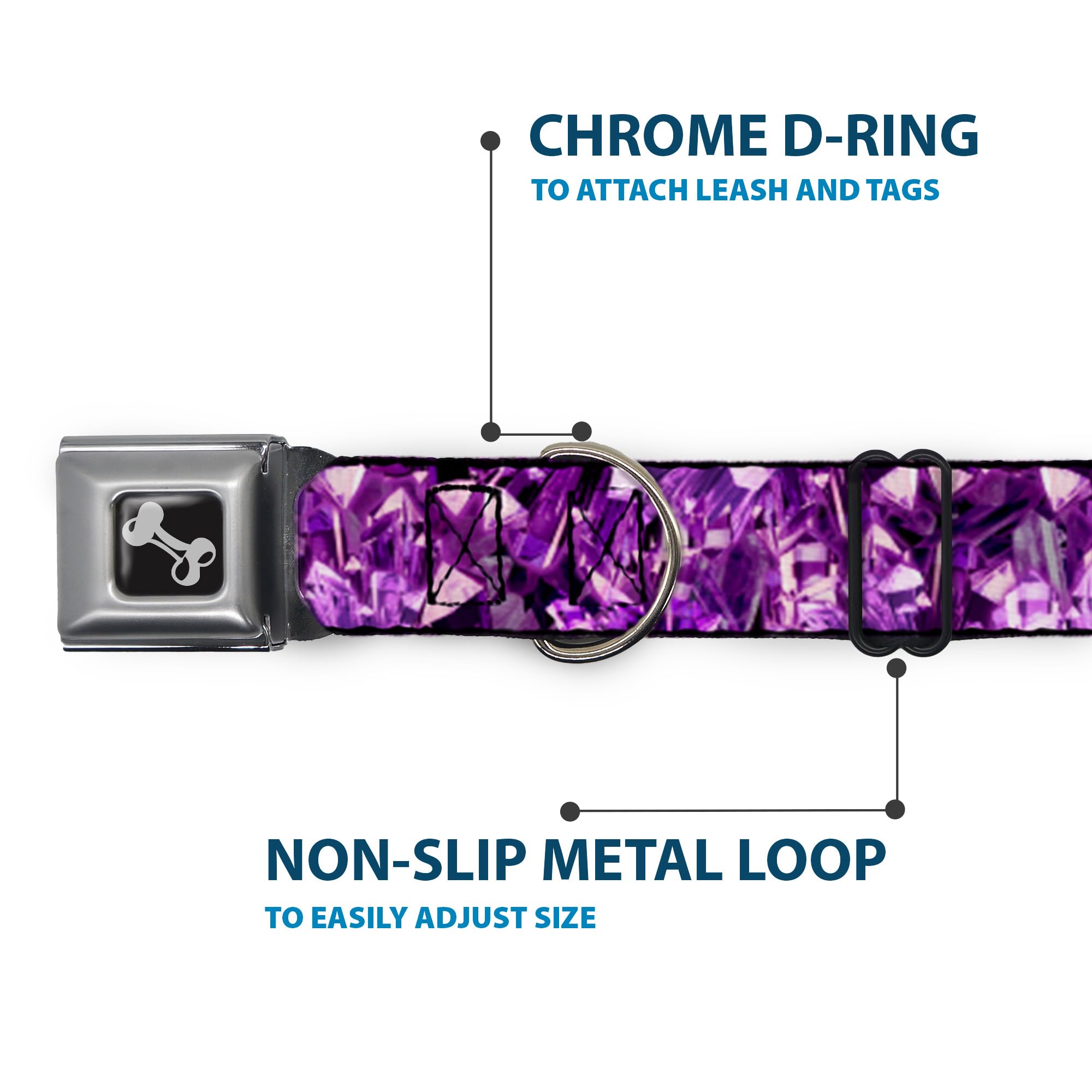 Buckle-Down Seatbelt Buckle Dog Collar - Crystals Purples - 1 Wide - Fits 9-15 Neck - Small