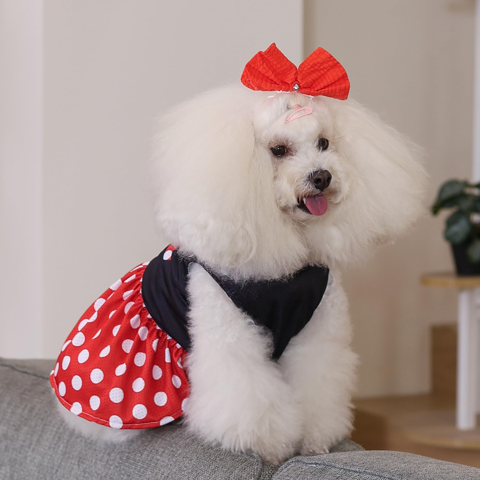 Cutebone Dog Mesh Dress Puppy Sundress Pet Outfit Summer Fashion For Small Dogs Girl Cat Clothes Bf33L-D