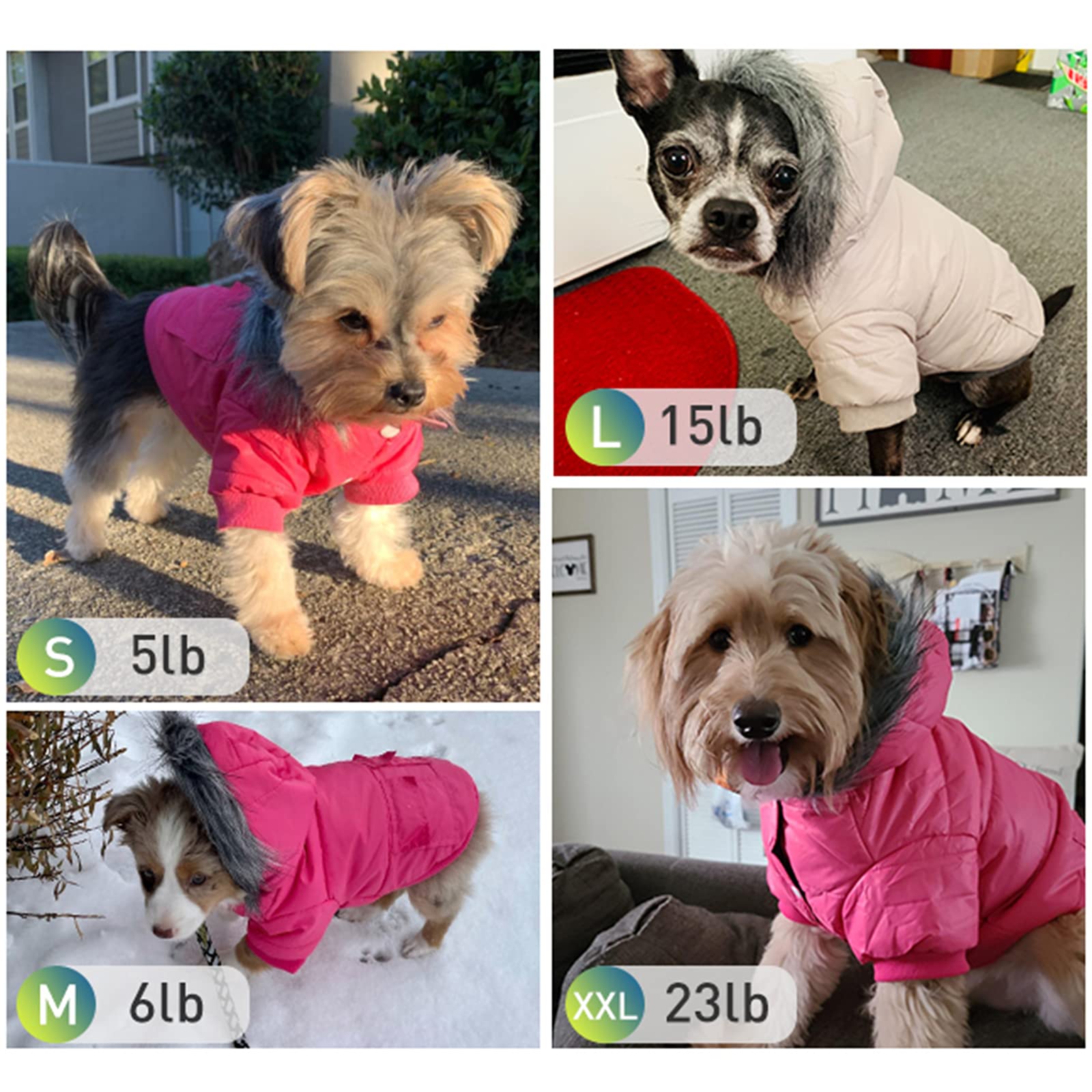 lesypet Dog Coats for Small Dogs, Dog Jacket Warm Dog Winter Coat Windproof Puffer Jacket for Small Dogs Puppy