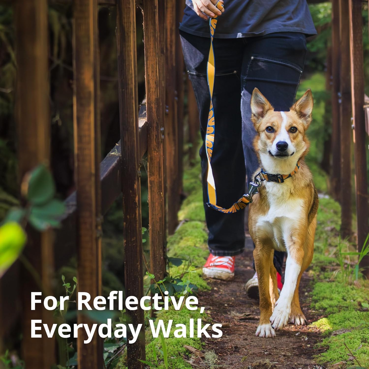 Ruffwear, Crag Dog Collar, Reflective And Comfortable Collar For Everyday Use, Rising Wave, 11''-14''