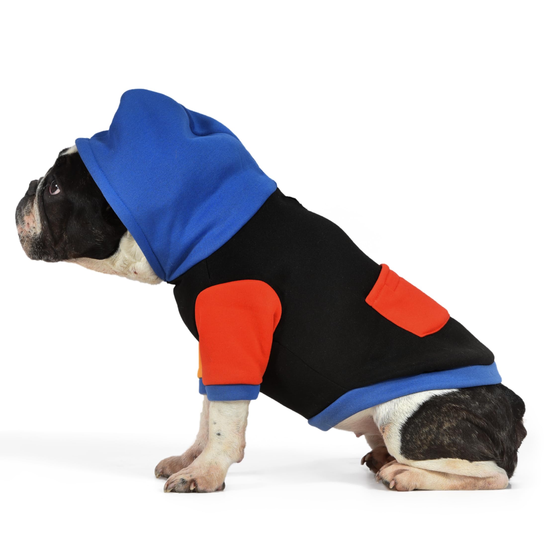 The Dodo Dog Hoodie, Black Colorblock, Size Medium; Everyday Apparel for Dogs, Cute Dog Sweatshirt, Cute Clothes