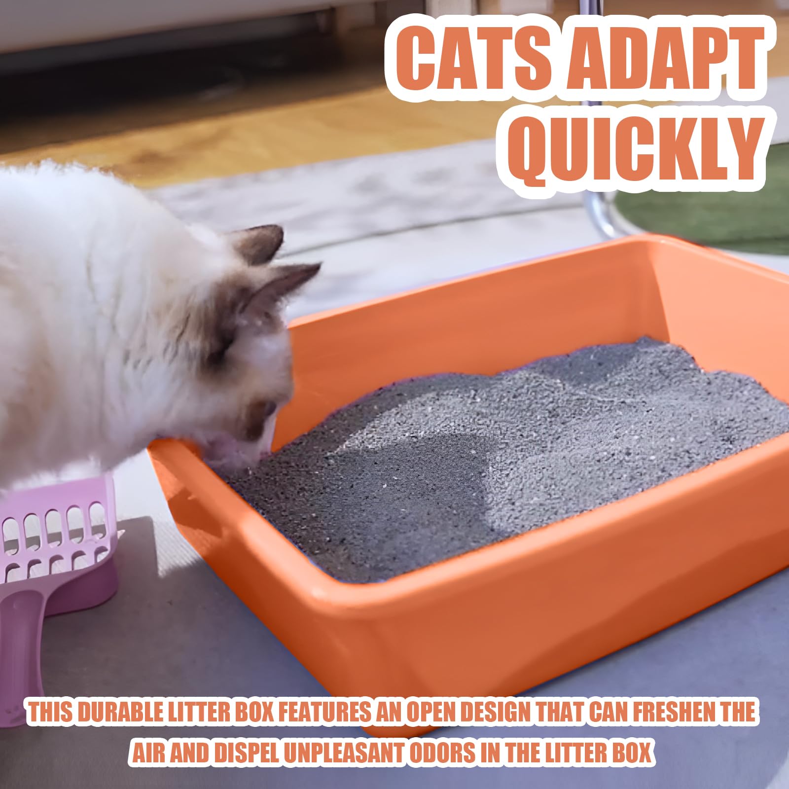 5Pcs Small Litter Box, Plastic Kitten Litter Box, 13.9 X 9.8 X 3 Inch Open Litter Box For Small Pet, Easy To Clean (5 Color)
