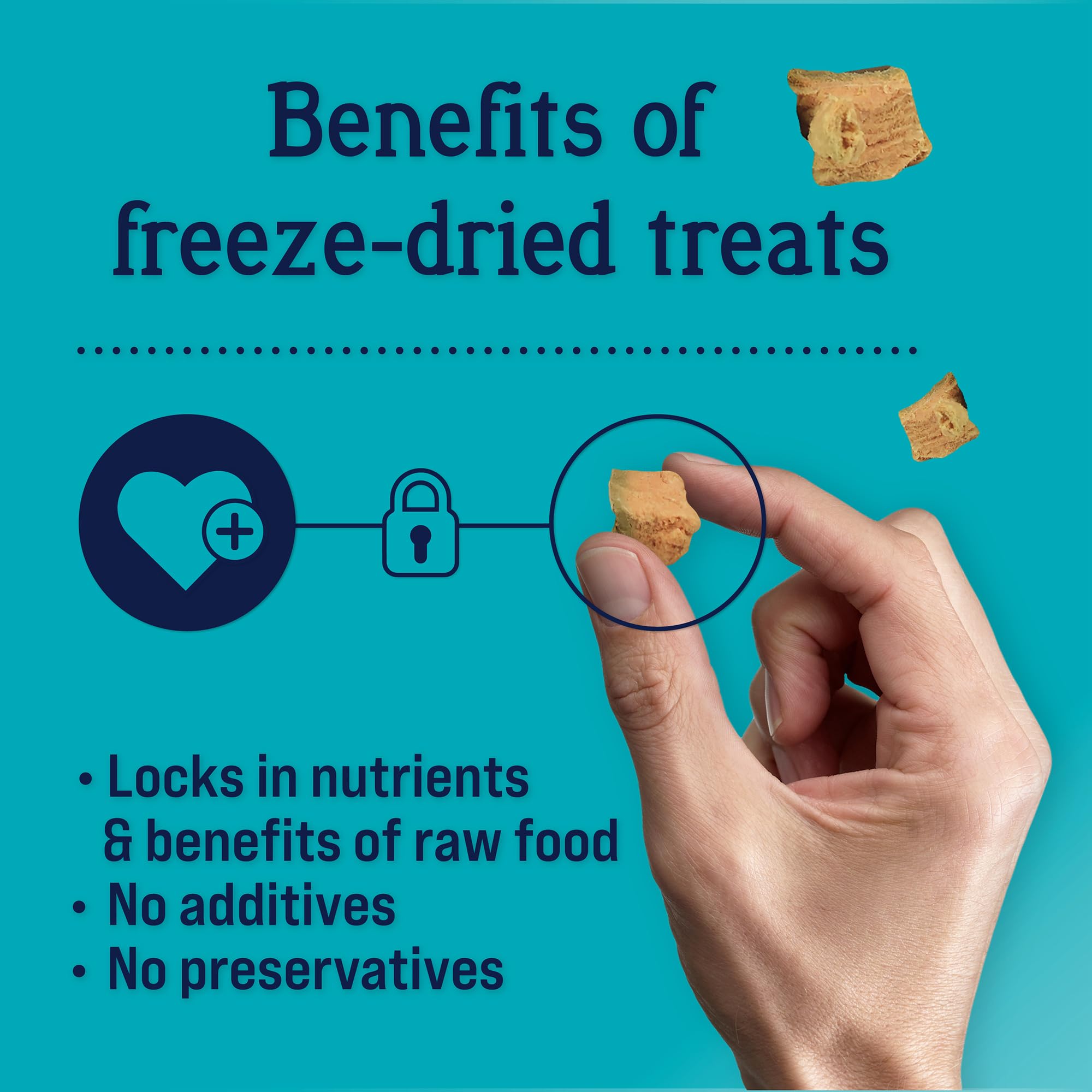 Stewart Freeze Dried Dog Treats, Wild Salmon, Grain Free & Gluten Free, 9.5 Ounce Resealable Tub, Single Ingredient, Made in USA