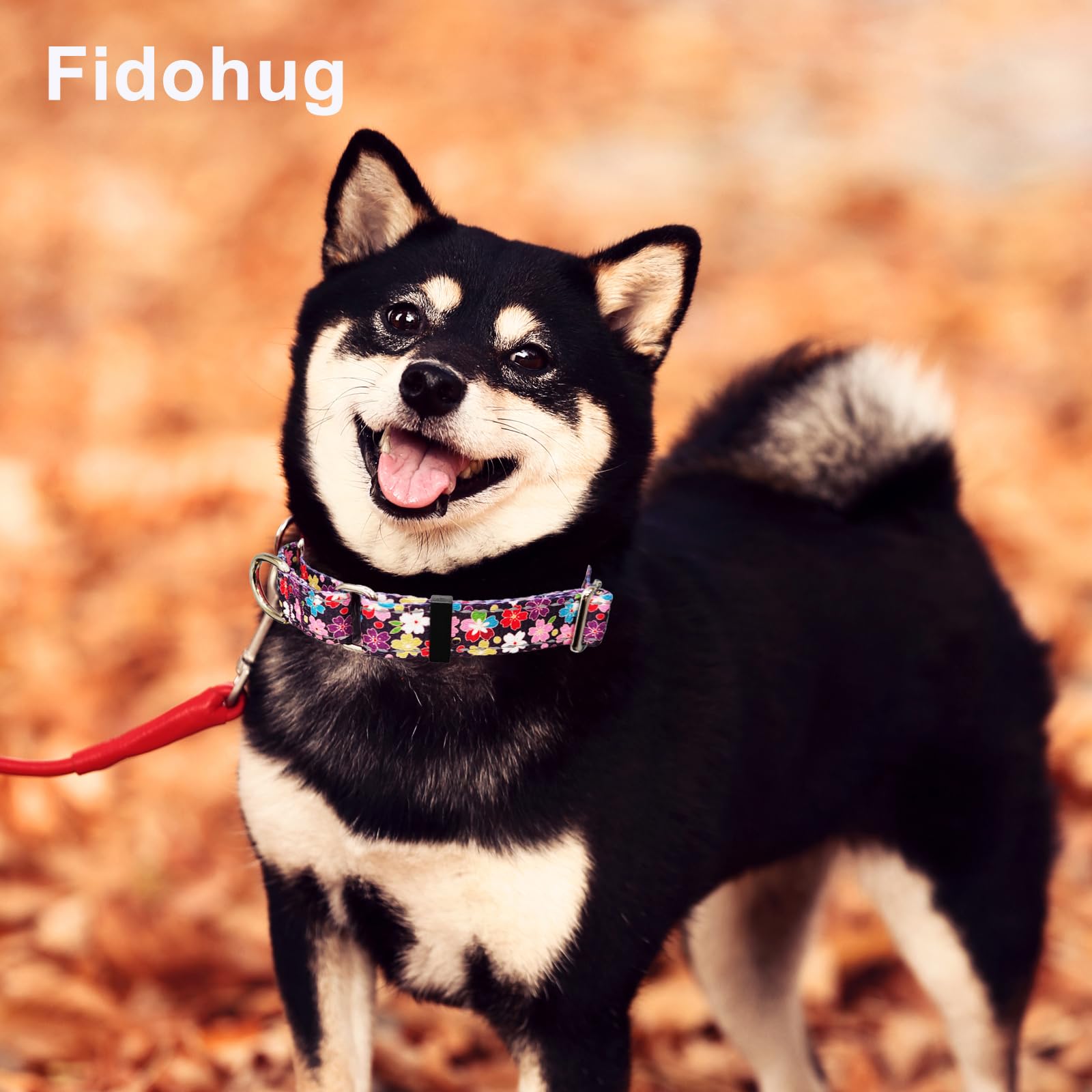 Fidohug Reflective Martingale Collar For Dogs With Buckle Pretty Fancy Female Floral Dog Collars (Japanese Blossoms, Small)
