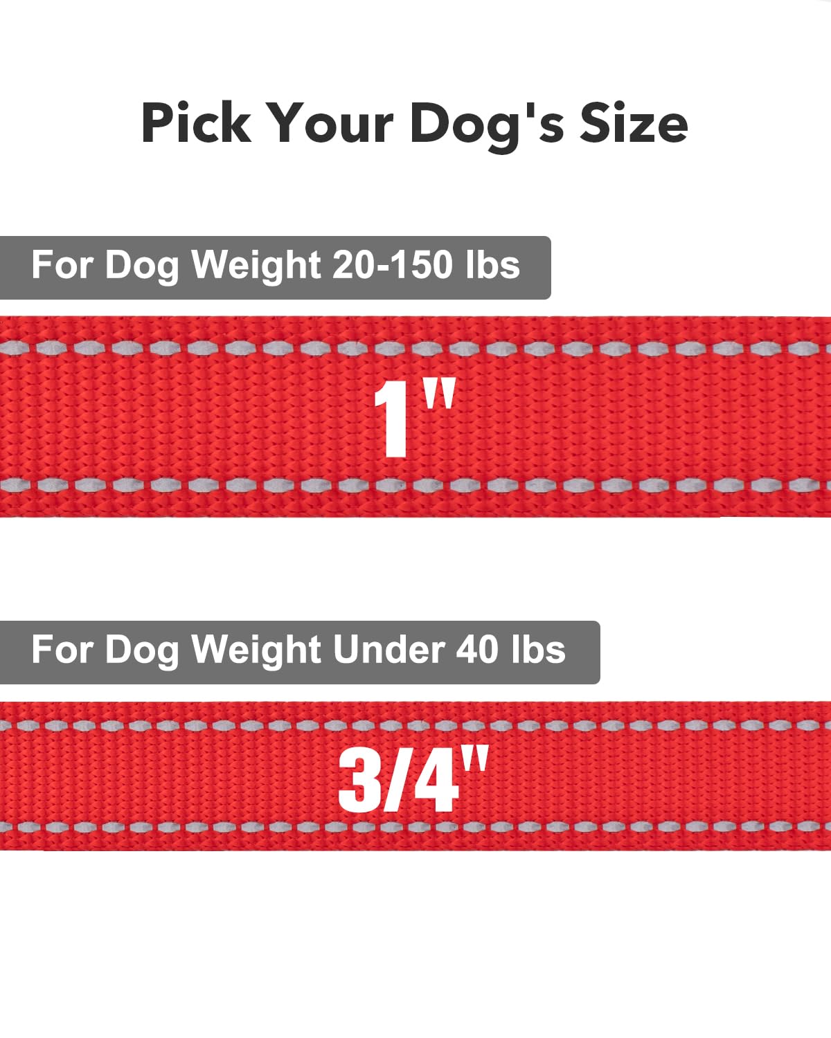 Taglory Nylon Dog Leash 6Ft, Soft Padded Handle Pet Reflective Leashes For Medium Large Dogs Walking & Training, Red