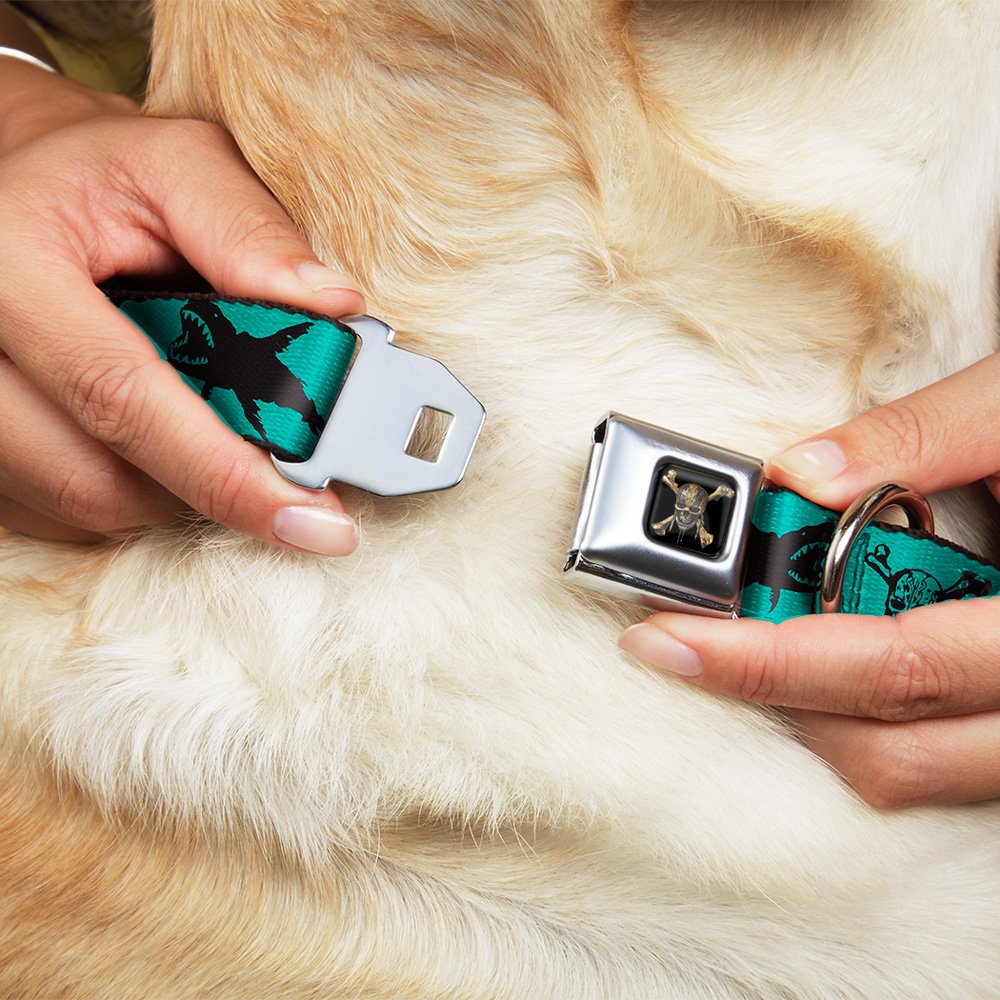 Buckle-Down Dog Collar Seatbelt Buckle Pirates Skull Crossbones Sharks Turquoise Black 15 To 26 Inches 1.0 Inch Wide, Multicolor (Dc-Wdy391-L)