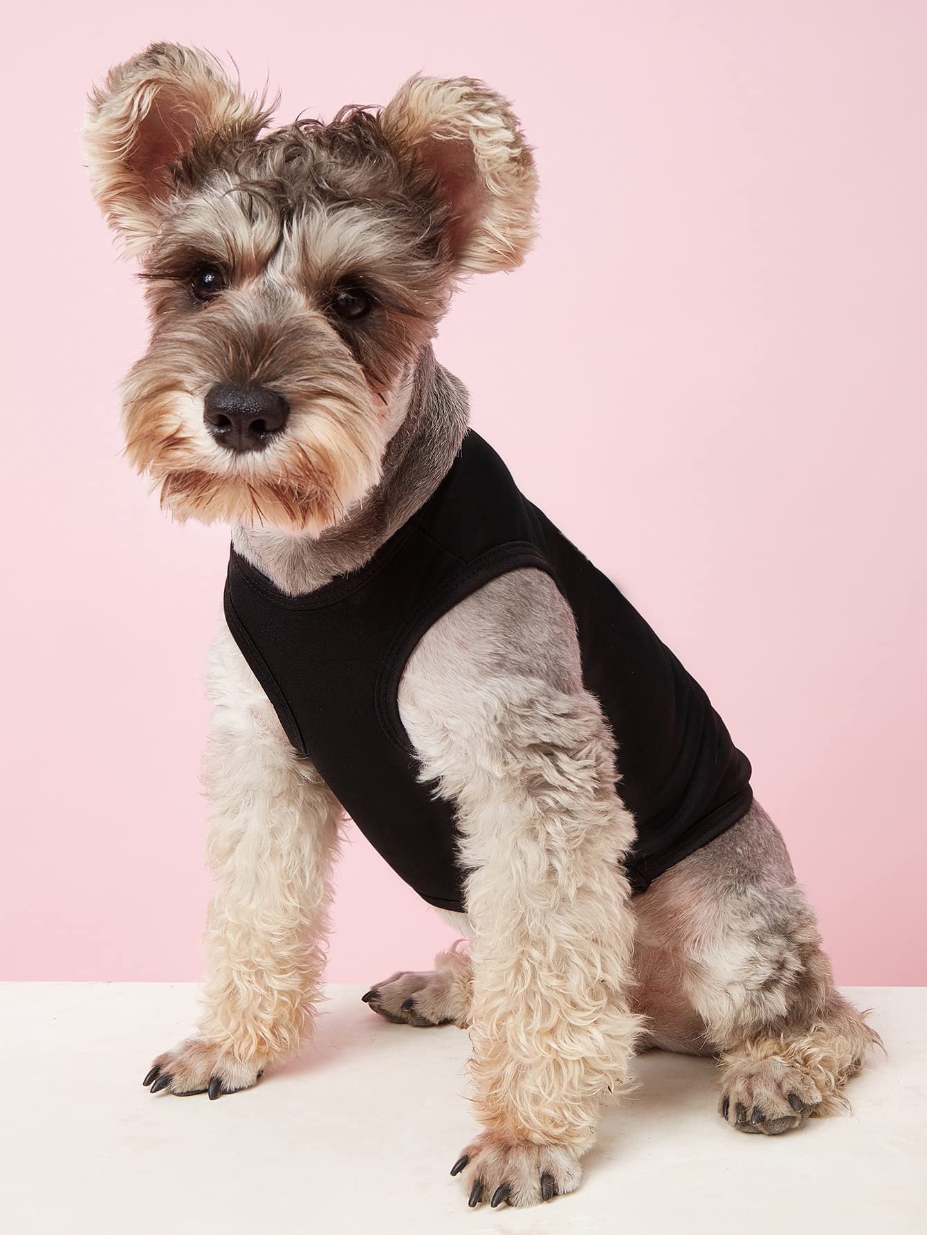 Puppy Dog Shirt Dog Summer Clothes Pet Dogs Shirts Xs Dog T Shirt Yorkie Clothes Chihuahua Clothes, Large, Black
