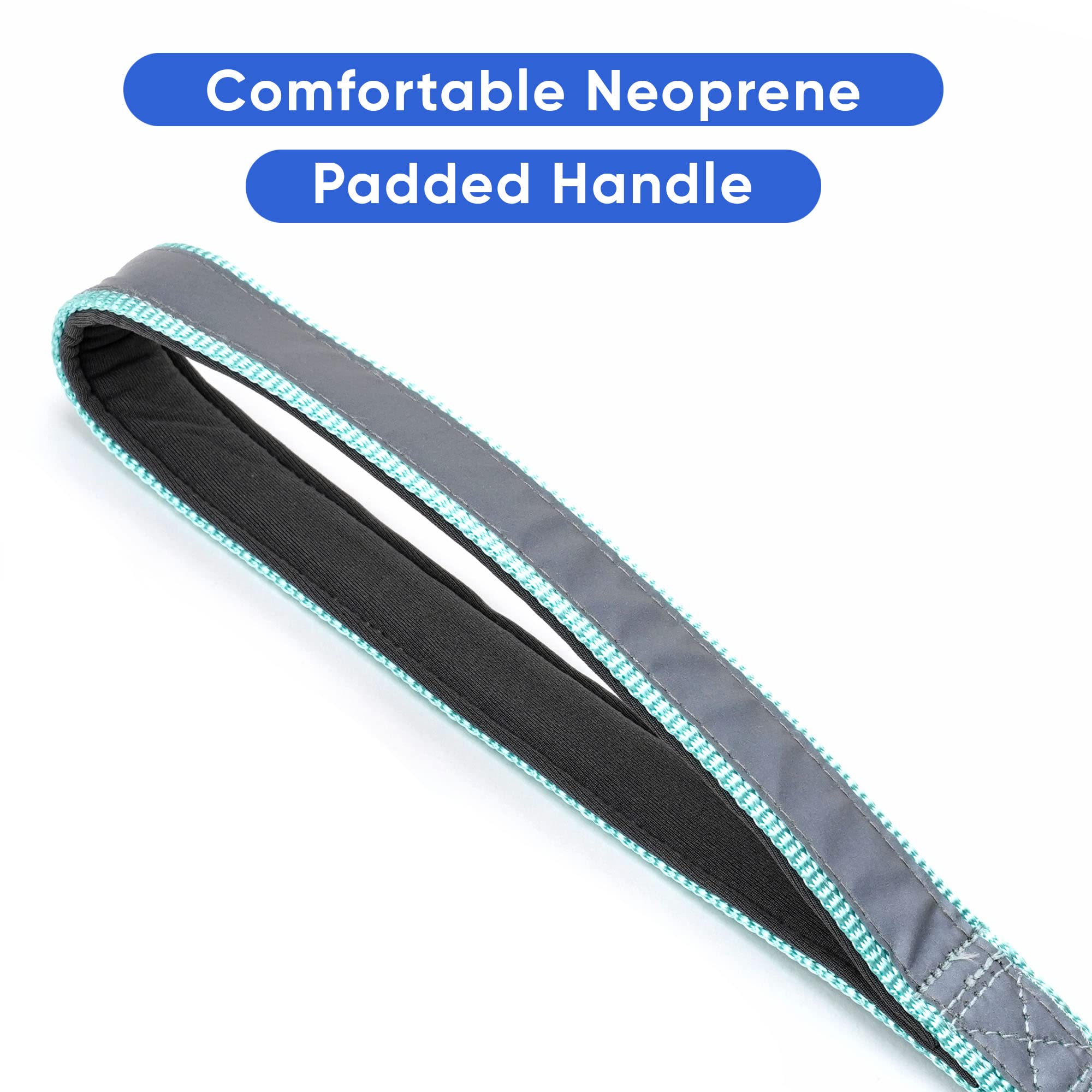 Pawtitas 6 FT Padded Dog Leash with Comfortable Neoprene Padding Handle - Teal Lead | Medium Reflective Dog Leash with Highly Re