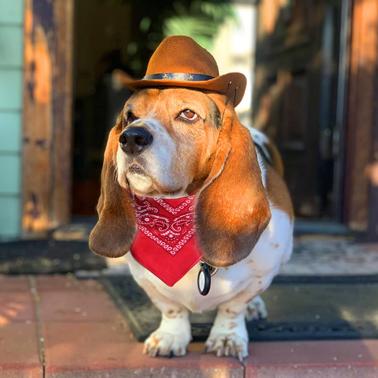 Awocan Dog Cowboy Hat And Bandana Scarf Dog Cat Sombrero Puppy Hat Dog Cat Costume Cosplay Cap Puppy Pet Dog Cat Holiday Pet Party Decoration (Coffee)