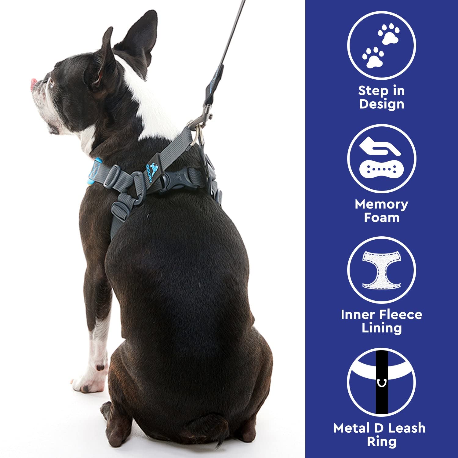 Gooby Escape Free Memory Foam Harness - Blue, Small - No Pull Step-in Small Dog Harness with Four Point Adjustment - Perfect on