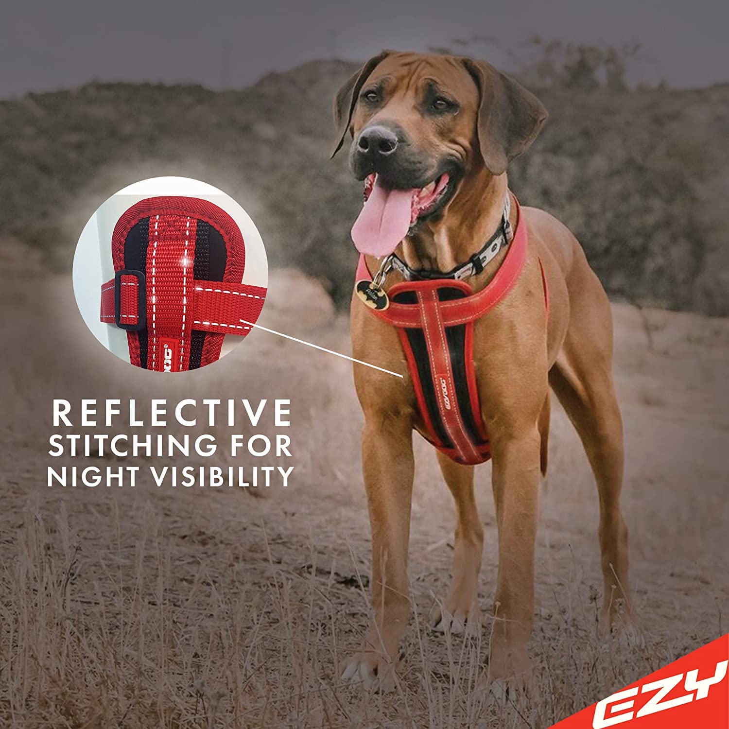 Ezydog Premium Chest Plate Custom Fit Reflective No-Pull Padded Comfort Dog Harness - Perfect For Training, Walking, And Control - Includes Car Restraint Attachment (X-Small, Purple)