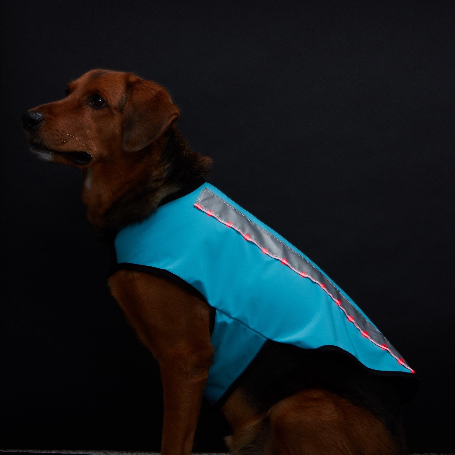Healers Petcare Teal Small (S) Light Weight Soft Shell/Mesh Back Led Jacket