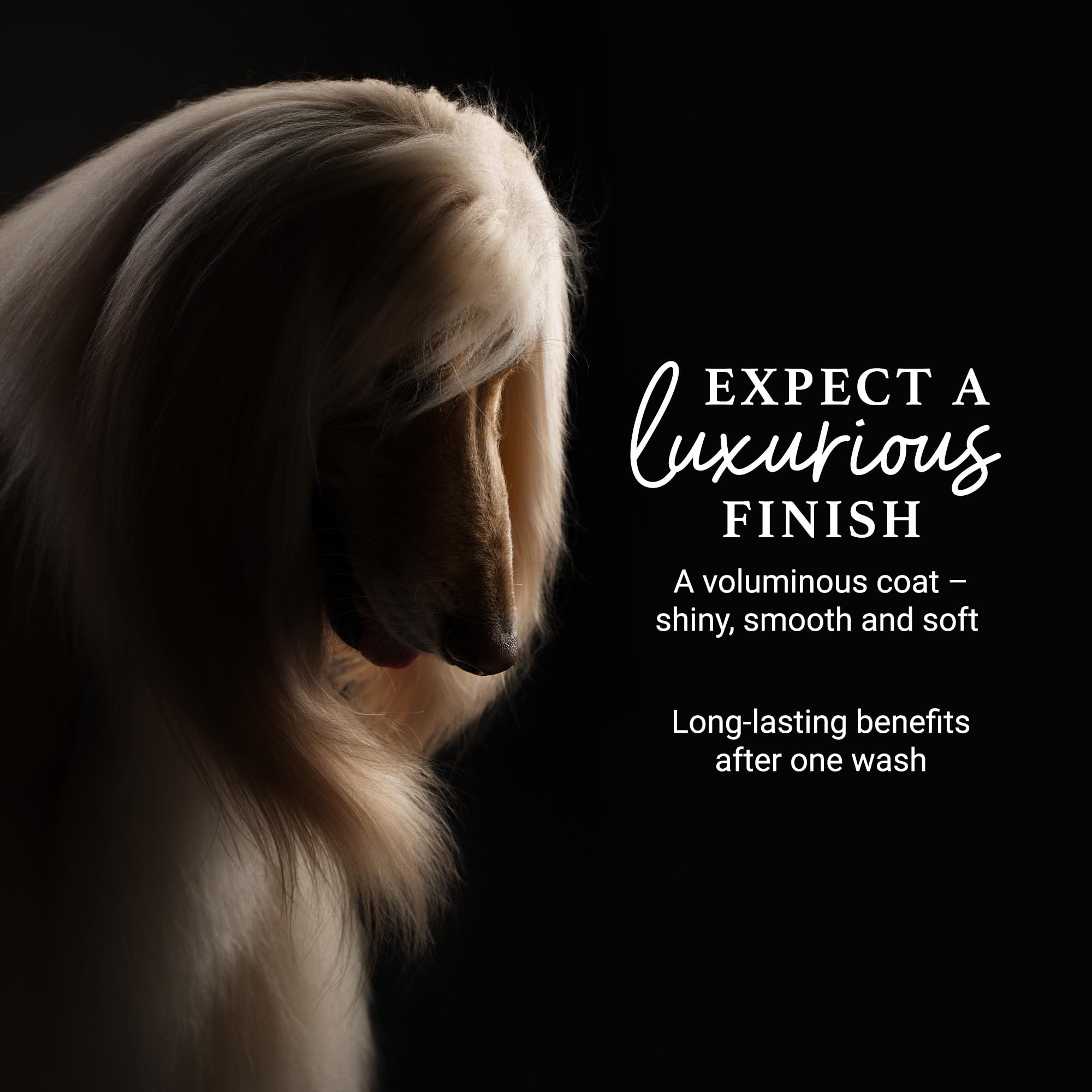 iGroom Deshedding & Detangling Dog Shampoo, 16 OZ, Loosens Tangles, Adds Shine, Made in USA