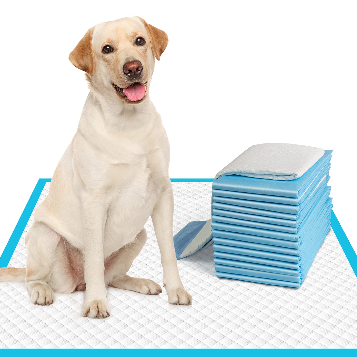 Immcute Extra Large Dog Pee Pads 28''X30''-30 Count | X-Large Puppy Pee Training Pads Super Absorbent & Leak-Proof | Disposable 