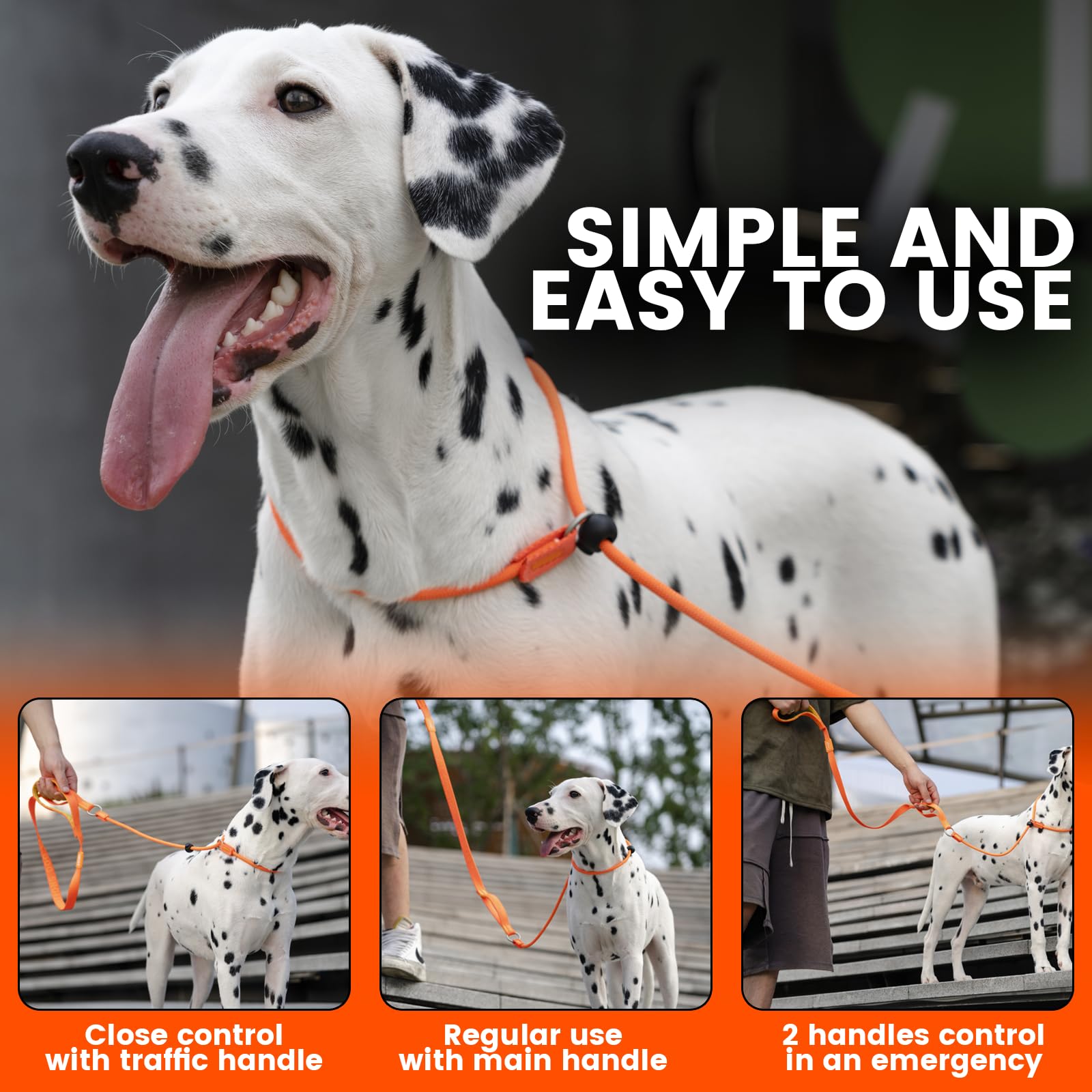 HOWGO Dog Slip Lead - Heavy Duty Nylon Training Leash, 5FT, Mint Green, No-Pull Design, Padded Handle, for All Breeds