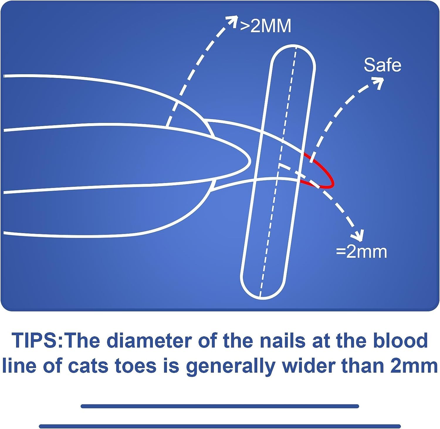 Vesslam Cat Nail Clippers With Circular Cut Hole -Avoid Over Cutting Pet Nail Clippers -Specially Designed For Cats-Sharp Angled