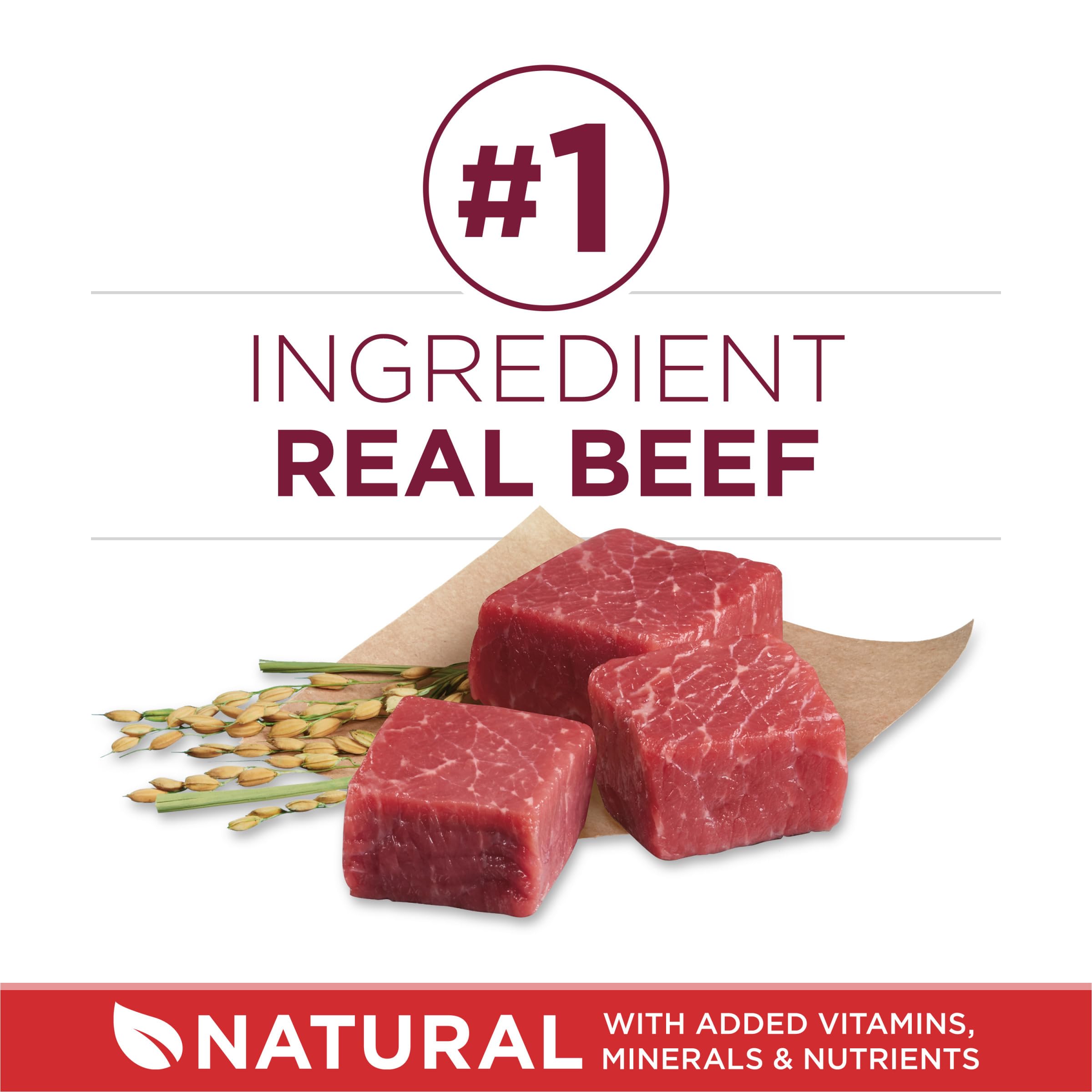 Purina ONE Small Bites Beef and Rice Formula Small High Protein Dry Dog Food Natural With Added Vitamins, Minerals and Nutrients