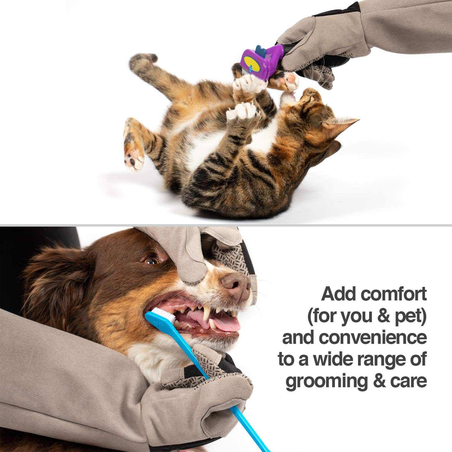 Petfusion Multipurpose Pet Glove For Grooming, Trips To Vet, Handling. [Puncture & Scratch Resistant, Water Resistant]. 12 Month Warranty For Manufacturer Defects Grey