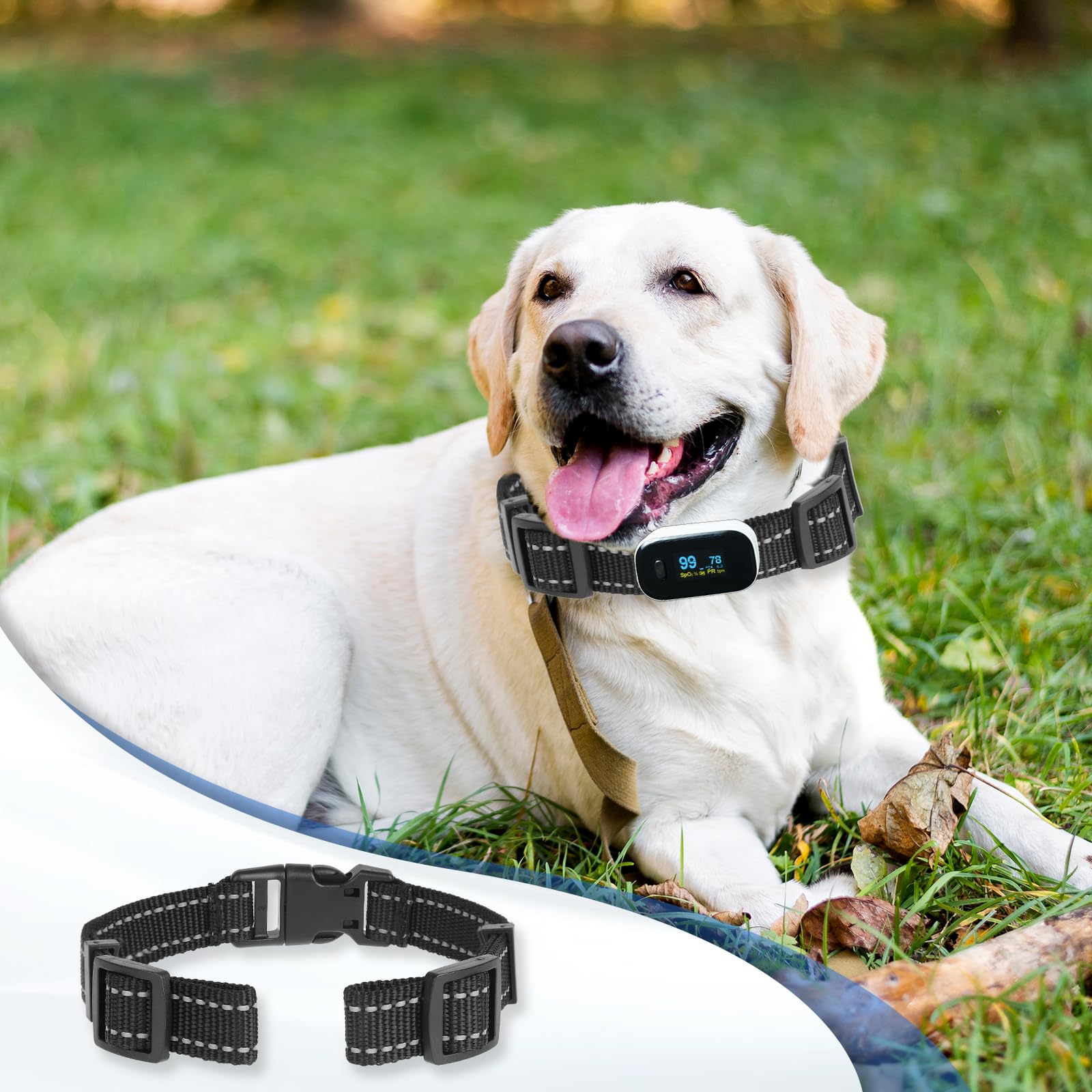 KALIONE Reflective Dog Collar Replacement Strap - Heavy Duty E Collar for Training Small Medium Large Dogs (2cm Wide)