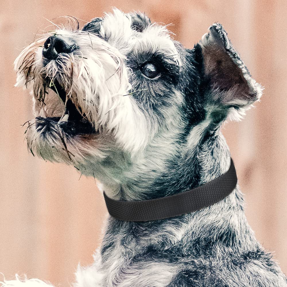 Petjoy Reflective Nylon Dog Collars, Replacement Collar For Shock Collar, Adjustable Classic Dog Collar Strap For Small Medium L