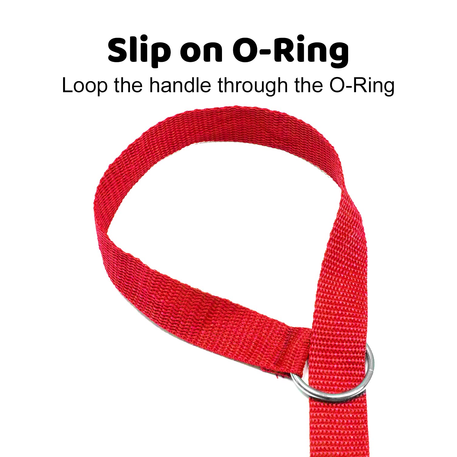 Downtown Pet Supply - 6Ft Dog Kennel Slip Lead Dog Leash - Veterinarian, Dog Grooming, Daycare & Animal Rescue Dog Supplies - One Size Leads For Dogs Bulk - 1' Thick - 12 Pack