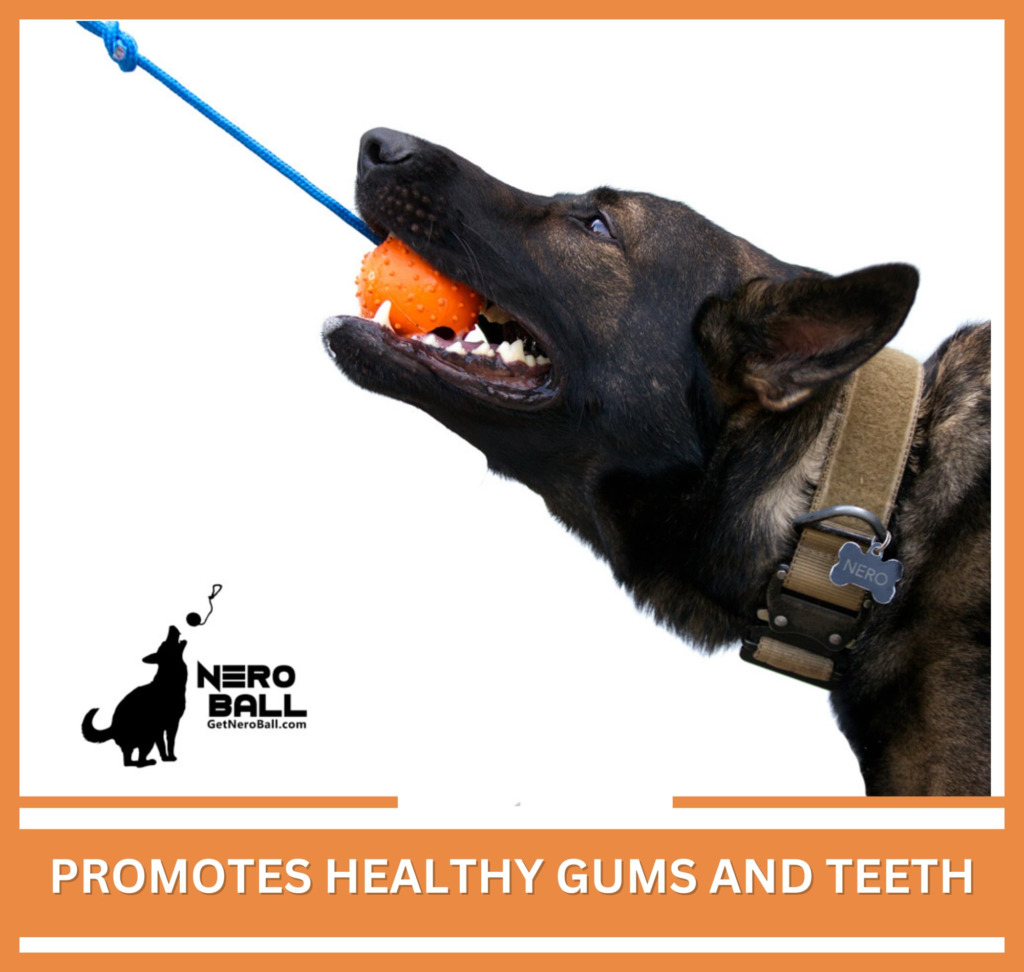 The Nero Ball Classic Tm - K-9 Ball On A Rope Reward And Exercise Rubber Ball - Fetch Ball