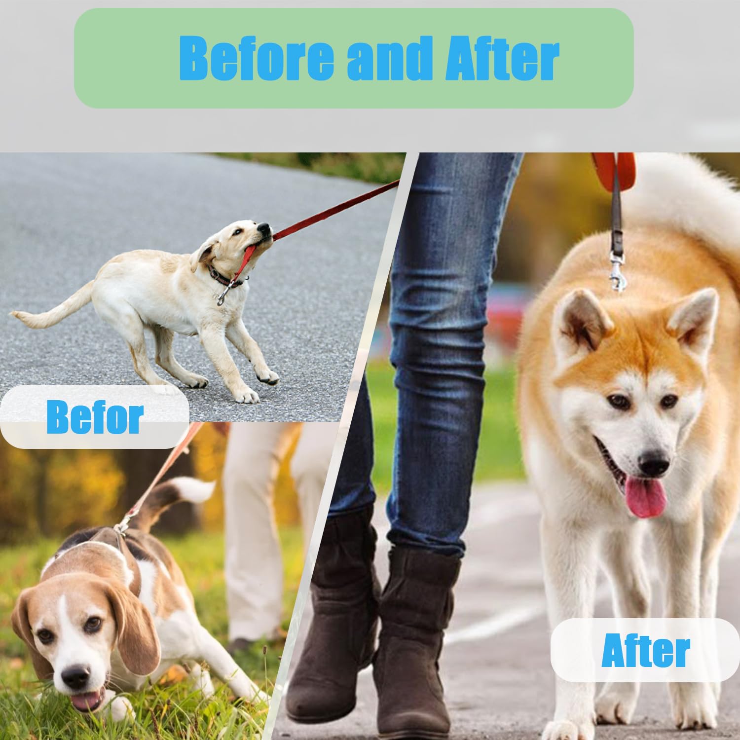 No Pull Dog Adjustable Collar with Buckle for Small Medium Large Dogs
