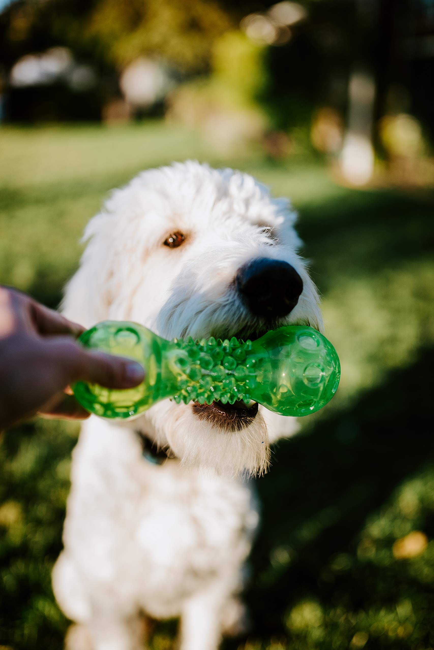 Hyper Pet Dura-Squeaks Barbell Interactive Fetch Dog Toy With Squeaker Made With Sturdy Tpr That Floats In Water