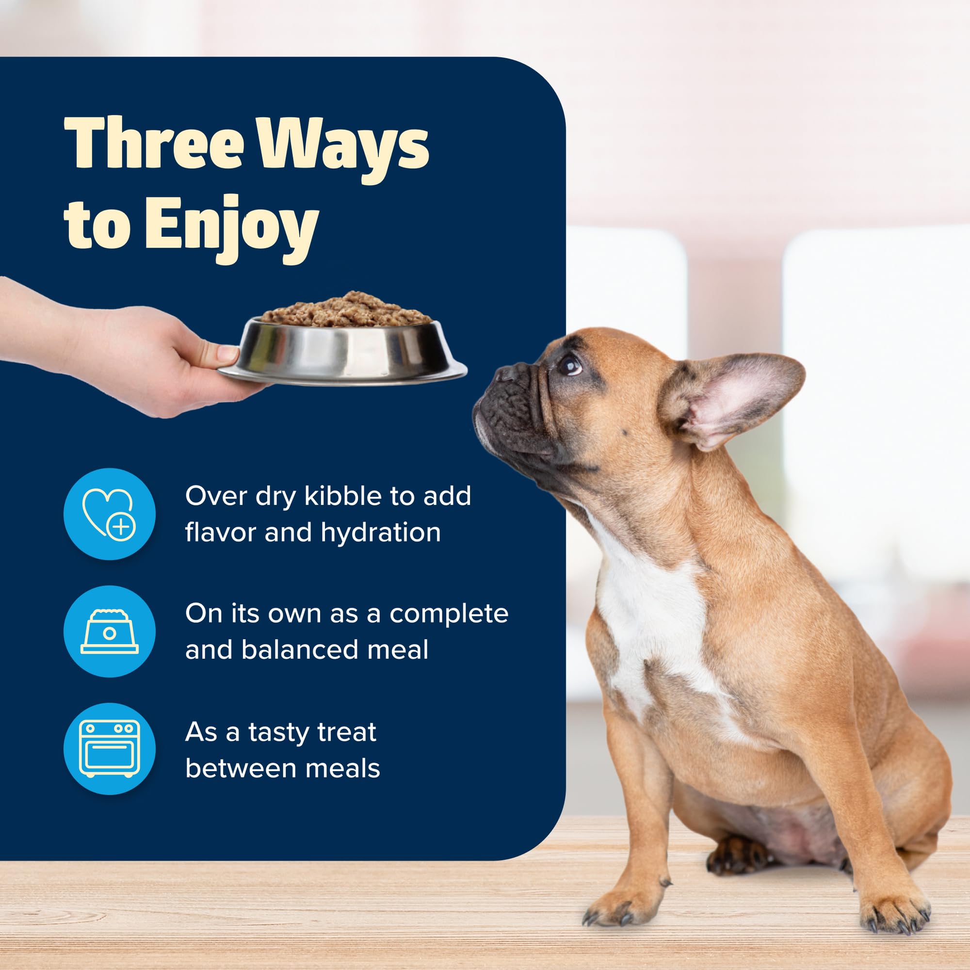 Blue Buffalo Freedom Grain-Free Wet Dog Food, Free of Glutens & Artificial Preservatives, Made with Natural Ingredients, Chicken