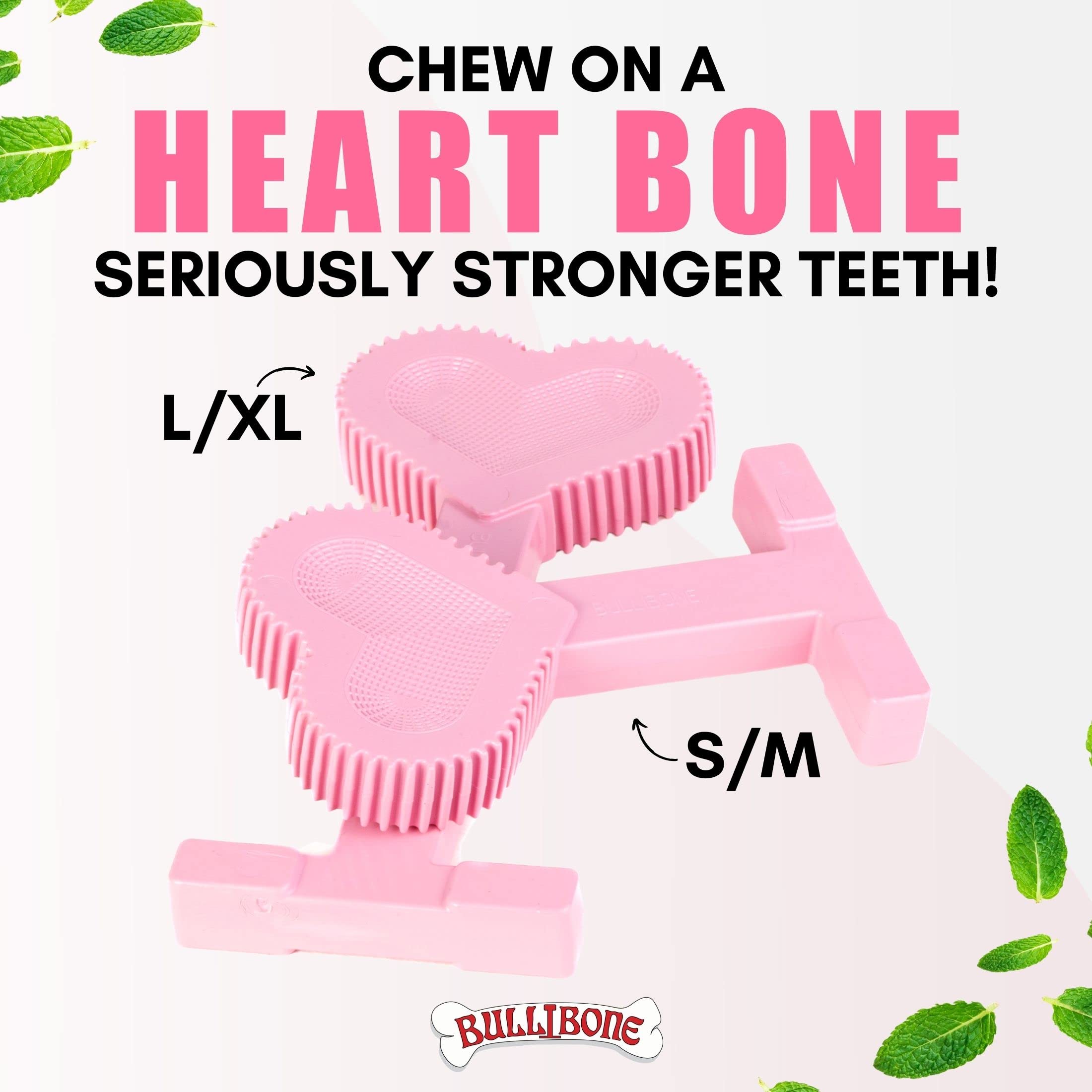 Bullibone Nylon Dog Chew Toy - Improves Dental Hygiene, Small Size, Peppermint Flavor