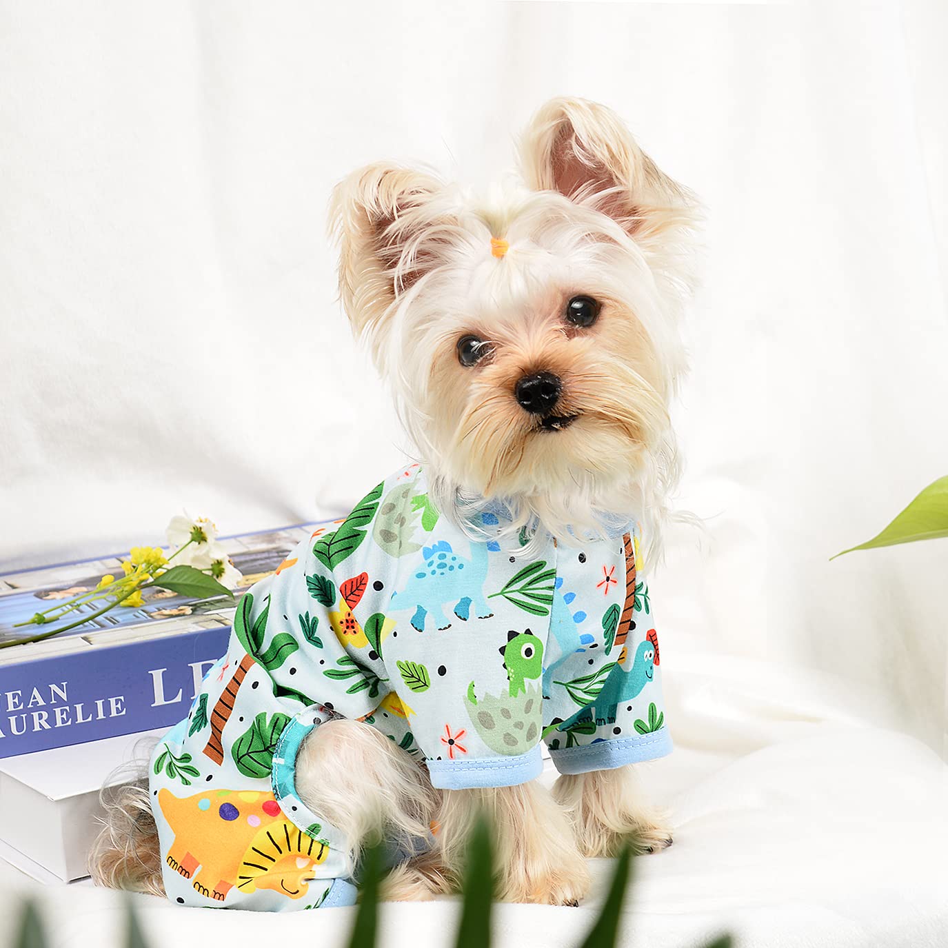 Dog Pajamas For Small Dogs Girl Boy Puppy Pjs Summer Pet Onesies For Chihuahua Yorkie Teacup Cute Soft Material Stretch Able Cat Clothes Outfit Apparel Doggy Jumpsuit (Small, Dinosaur)