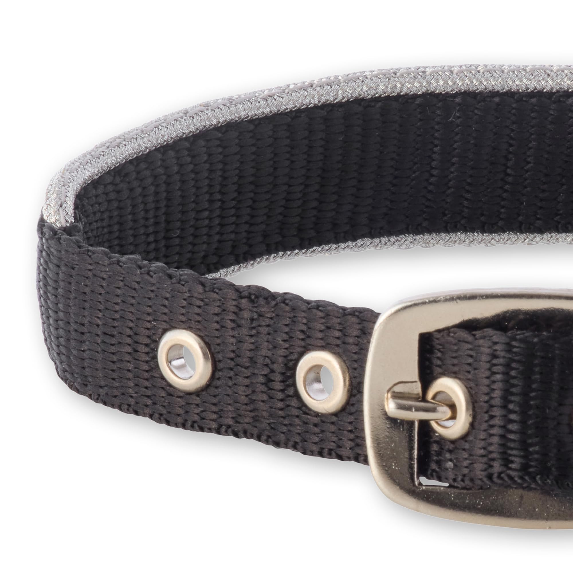 Pet Passion Adjustable Silver Trimmed Dog Collar For Pets Small, Medium And Large Dogs, Silver Black, Xx-Large
