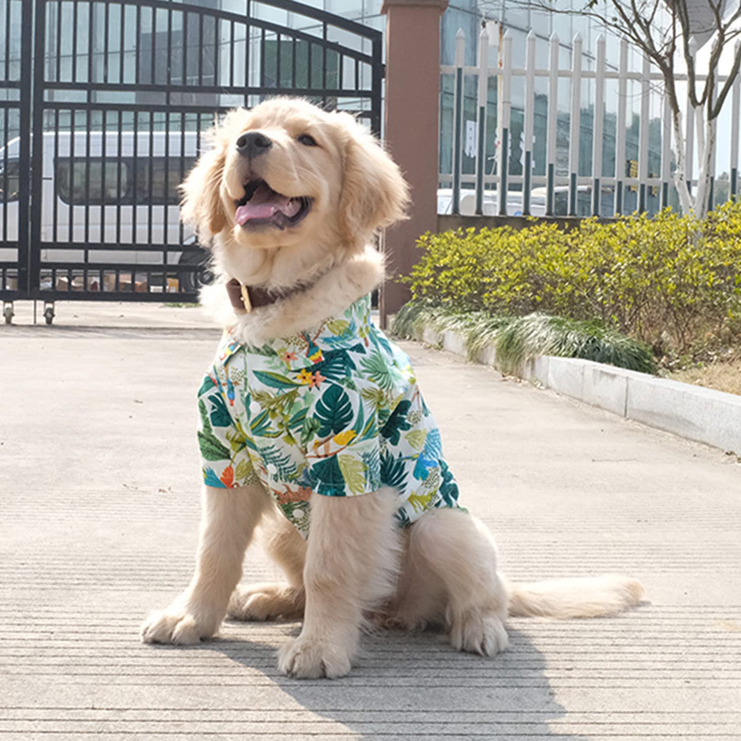 Harikaji Dog Hawaiian Shirt, Summer Pet Clothes Large Dog Cool Costume Beach T-Shirt For Medium Large Dog(White,7Xl)