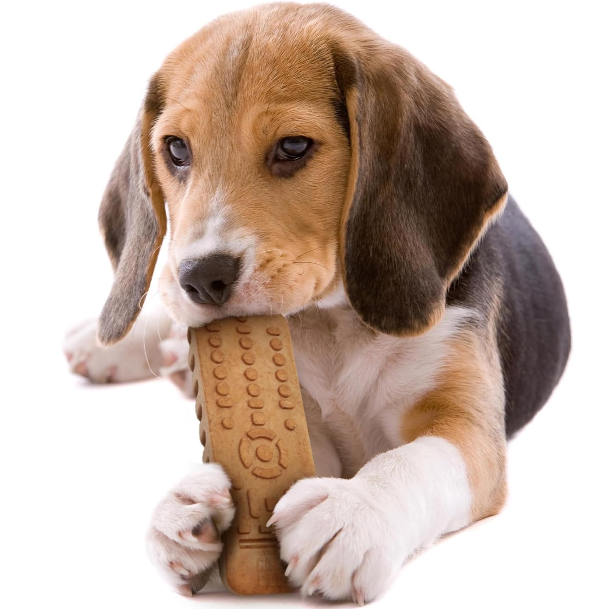 The Chew Club Powerbone TV Remote 7 Chew Toys for Dogs