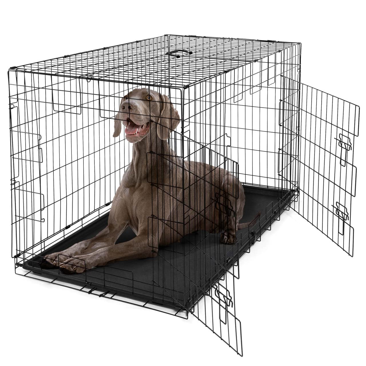 Bowhaus Dog Crate, Metal Wire Kennel W/Divider Panel, Leak-Proof Pan, 48, Double Door, Large Dog Crate Indoor, Foldable & Portab