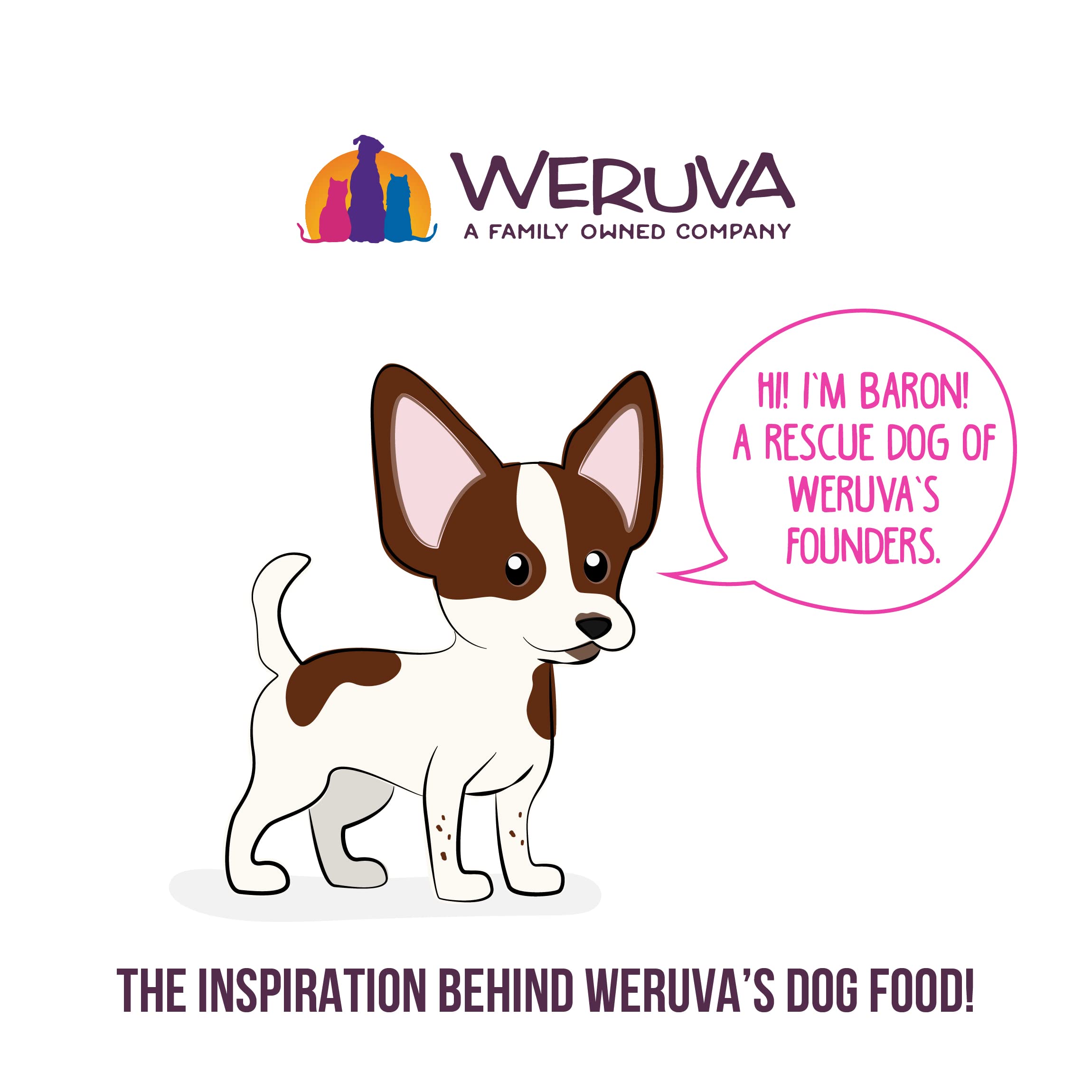 Weruva Best Fido Friend Fun Size Meals for Dogs, We Be Jammin, 2.75oz Cup, Pack of 12