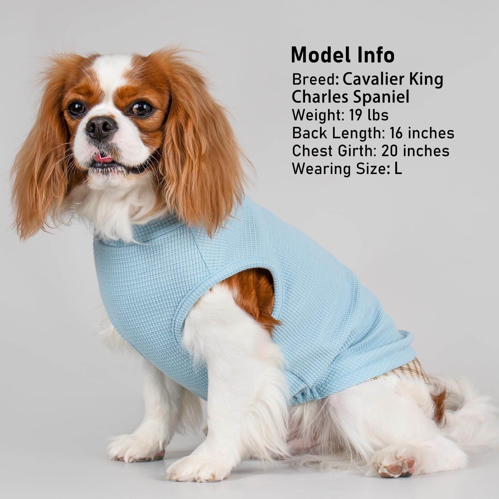 Kyeese Waffle Dog Shirts For Small Dogs Soft Stretchy T-Shirts Lightweight Tank Top Sleeveless Cut Breathable Cat Tee Puppy Outf